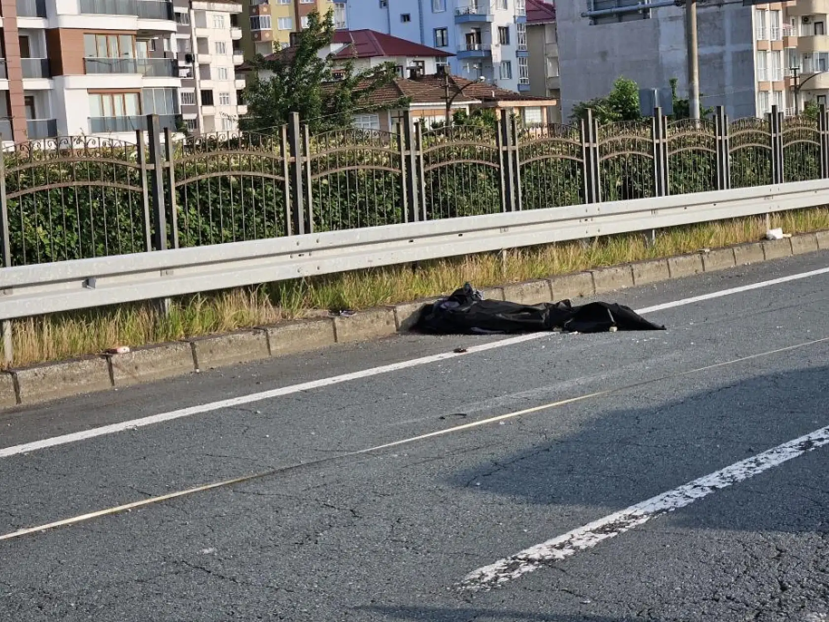 2 kardeşin ölümüne arabaya giren arı sebep oldu