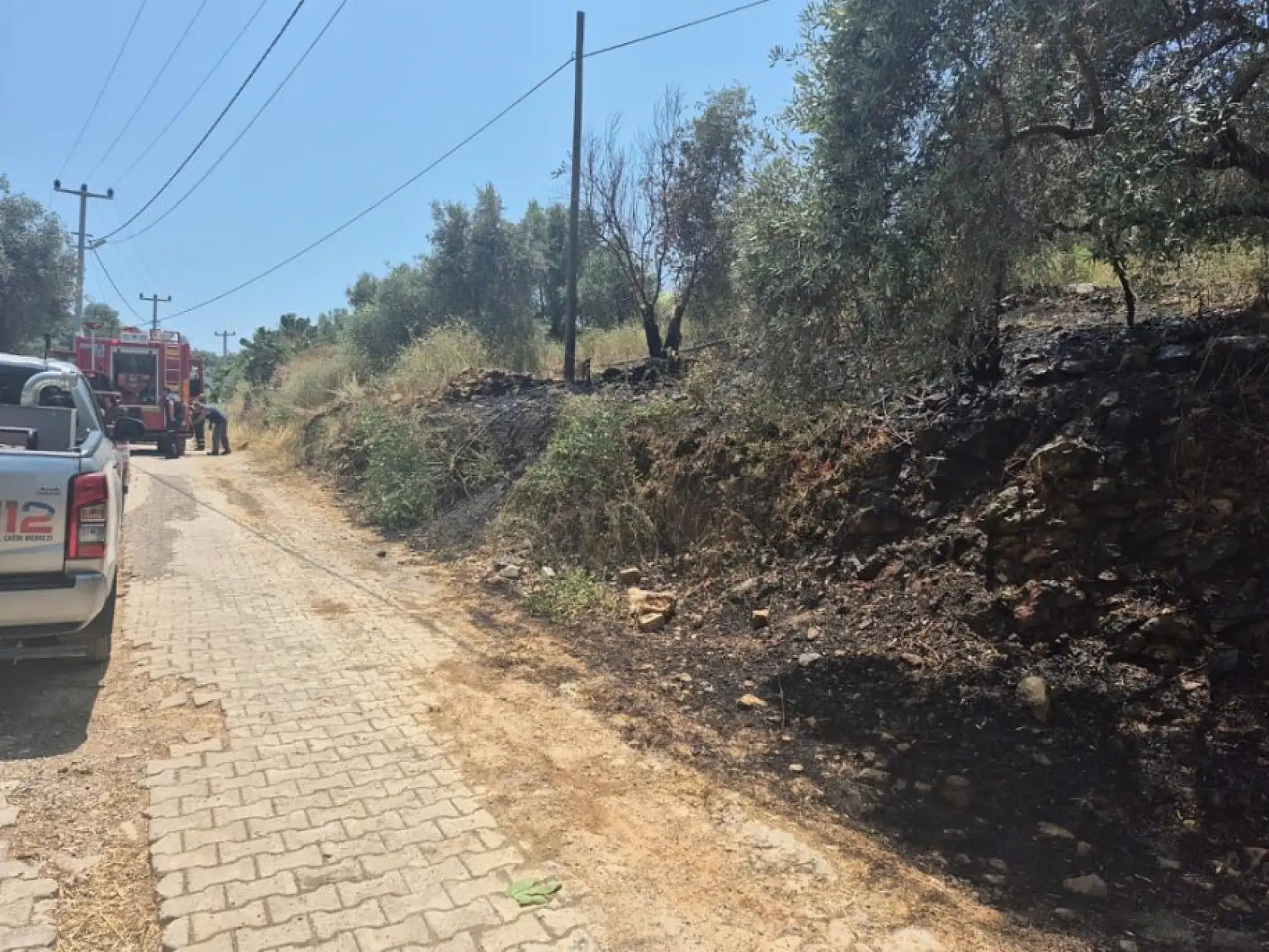 Muğla'da otluk alanda çıkan yangın büyümeden söndürüldü