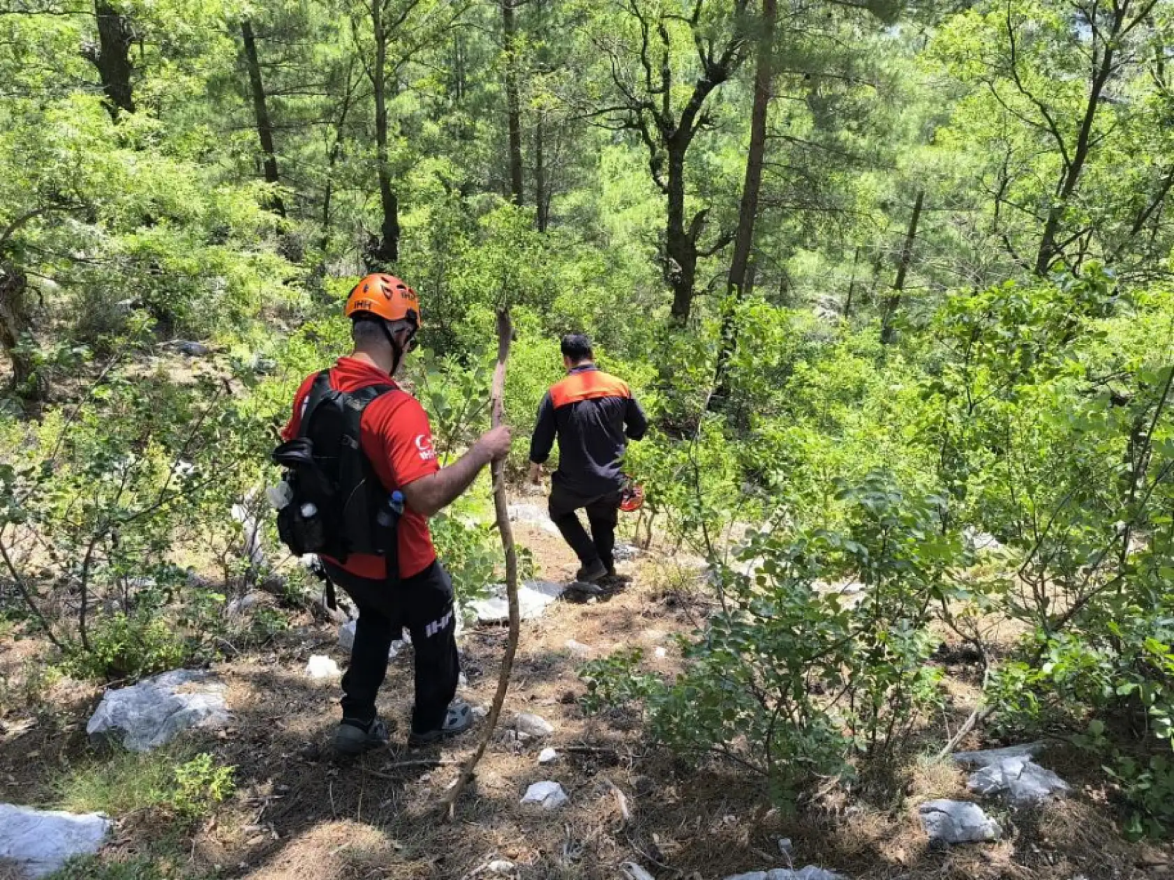 Yaylada kaybolan yaşlı adamı arama çalışmaları sürüyor
