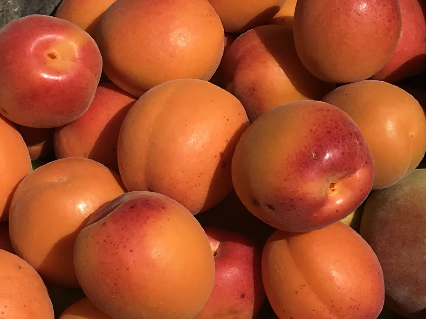 Tazesi 100 kurusu bin lira