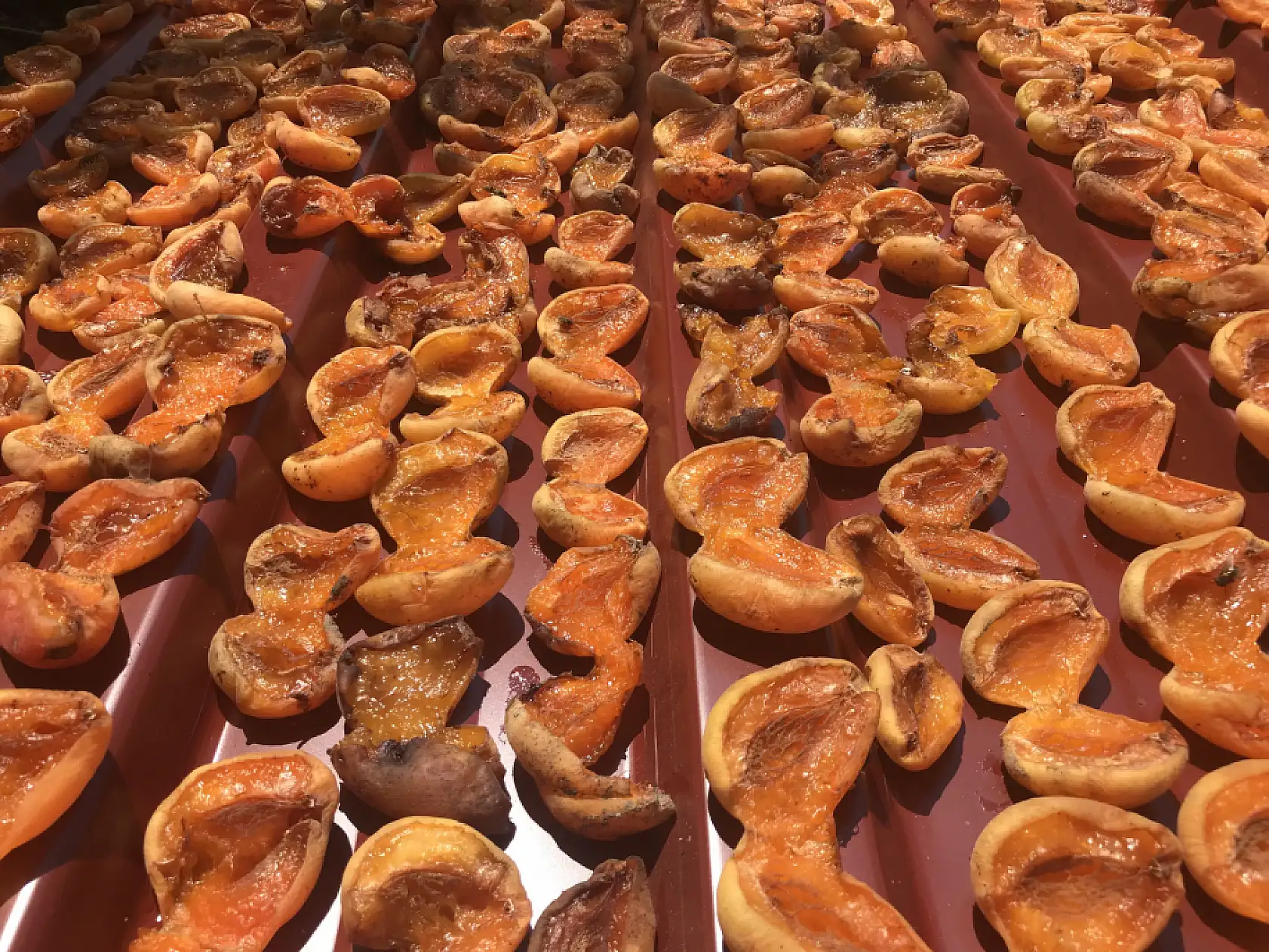 Tazesi 100 kurusu bin lira