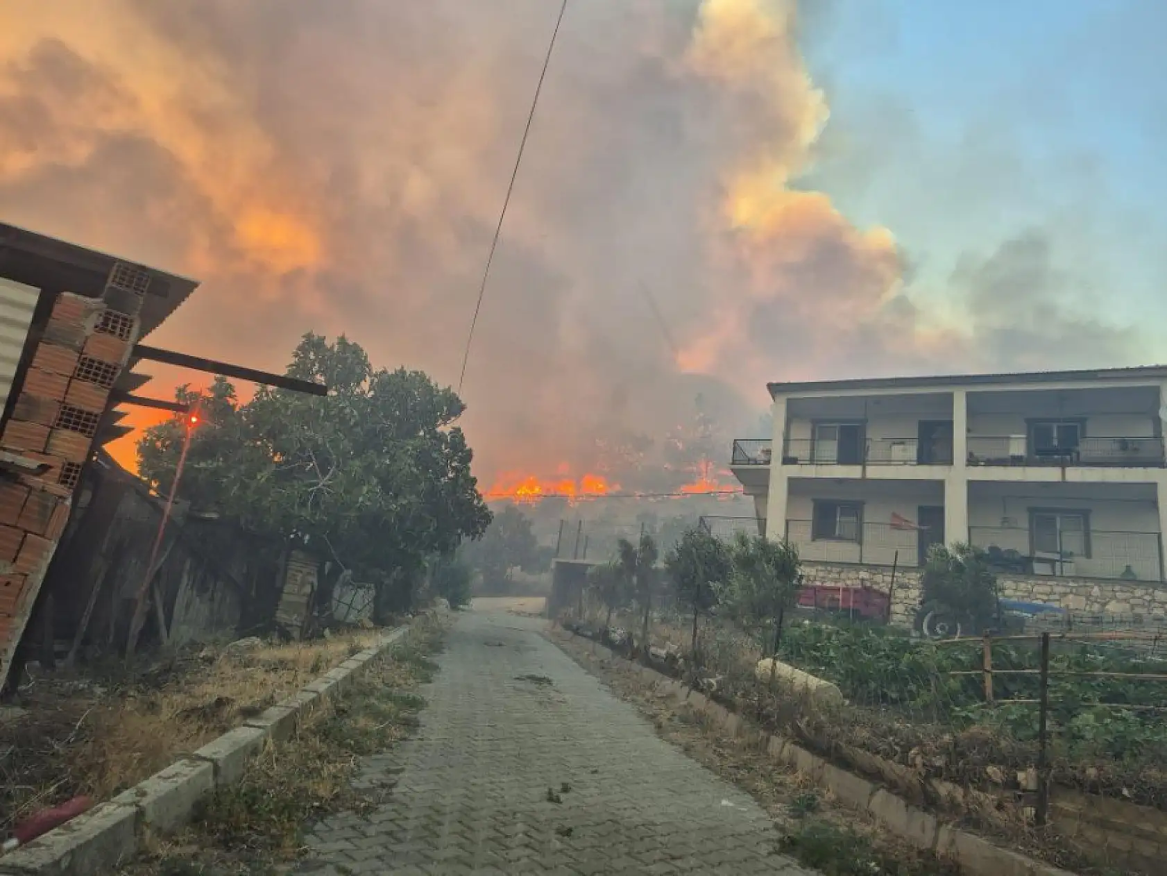 İzmir'de orman yangını kontrol altında