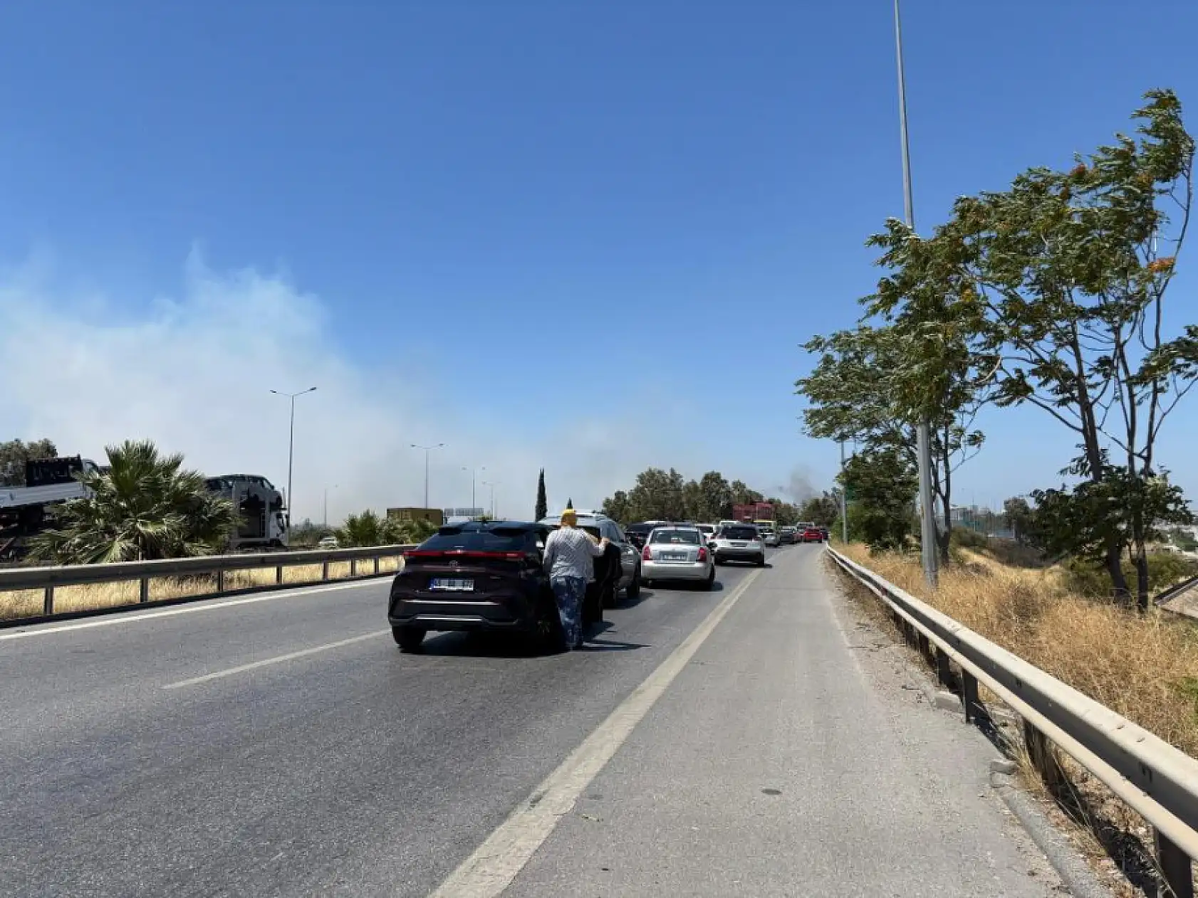 İzmir'de otluk alanda yangın