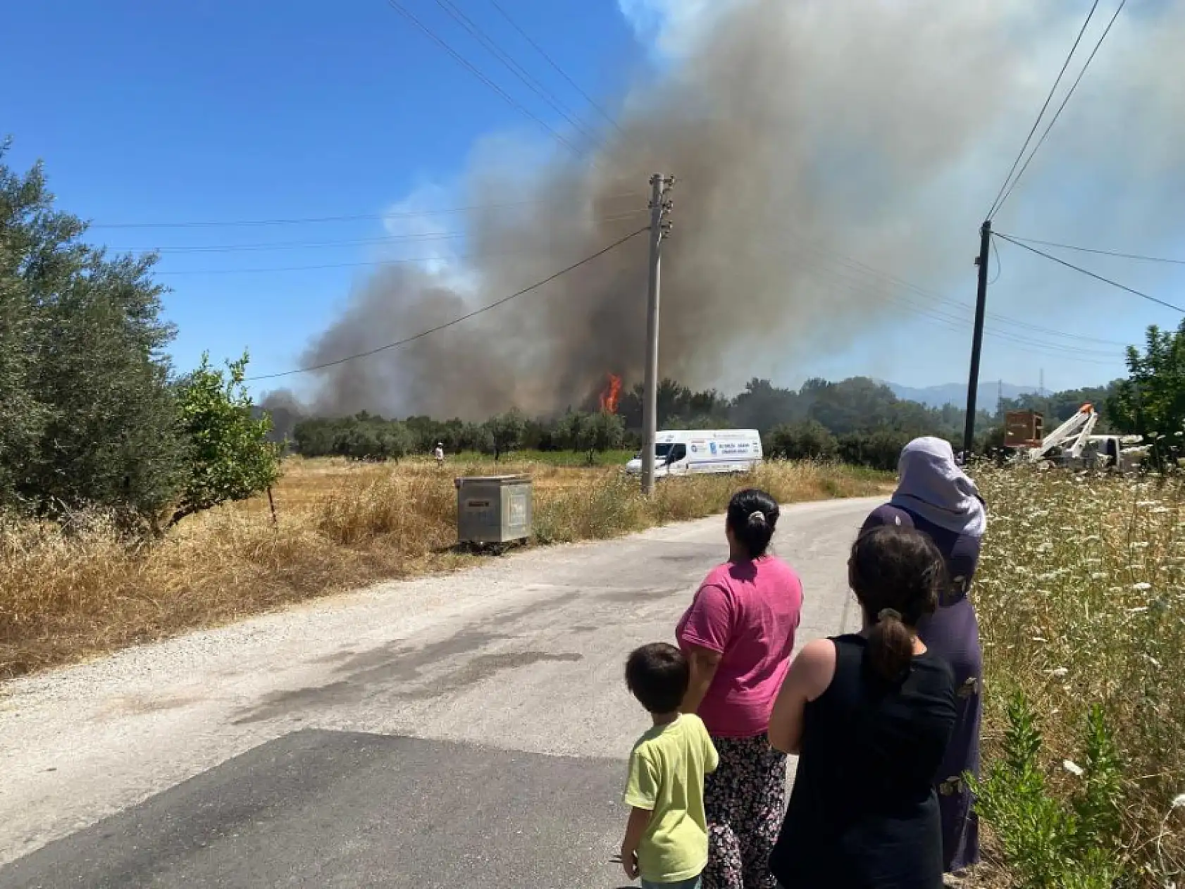 Antalya Aksu'da Alev Alev! Orman Yangını Yerleşim Alanına Dayandı