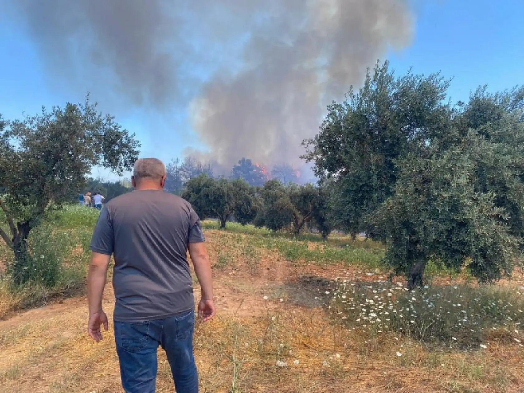 Antalya Aksu'da Alev Alev! Orman Yangını Yerleşim Alanına Dayandı