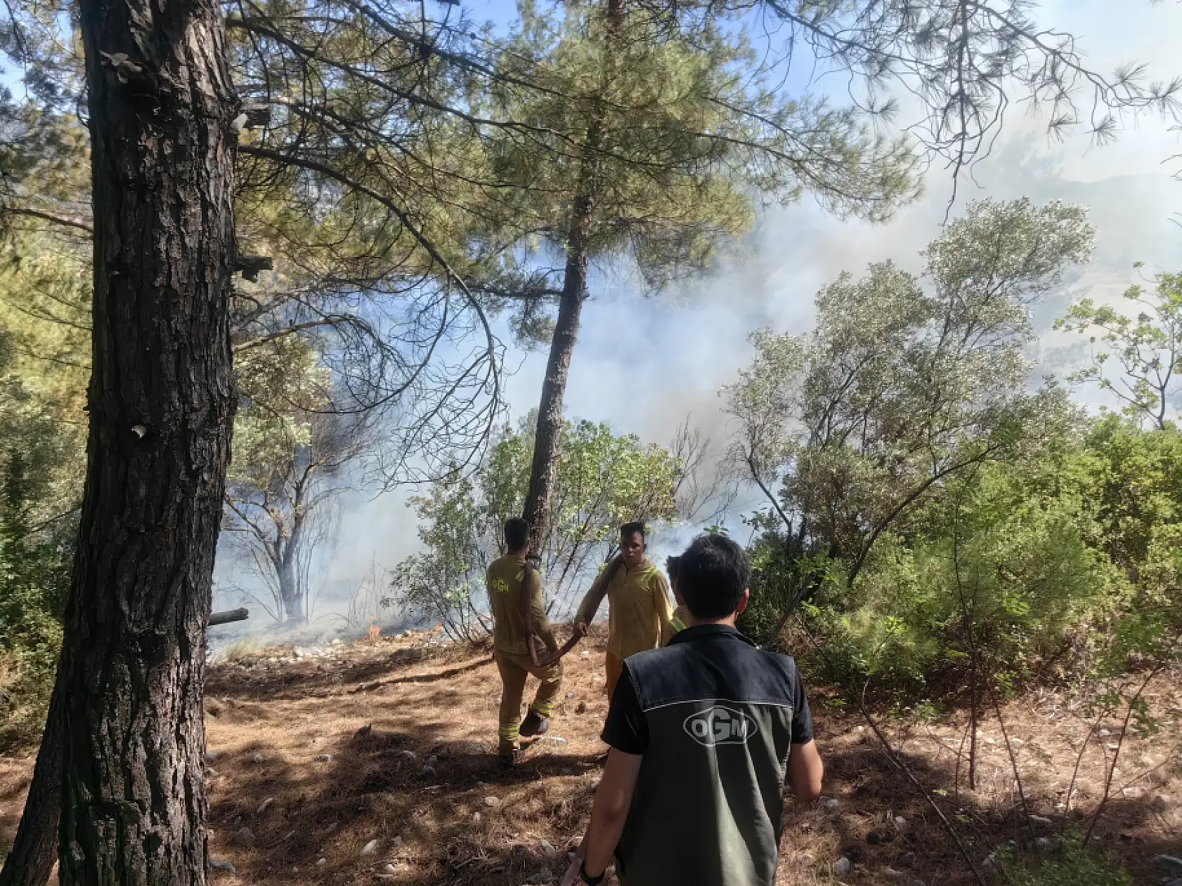 Muğla'daki orman yangını kontrol altına alındı
