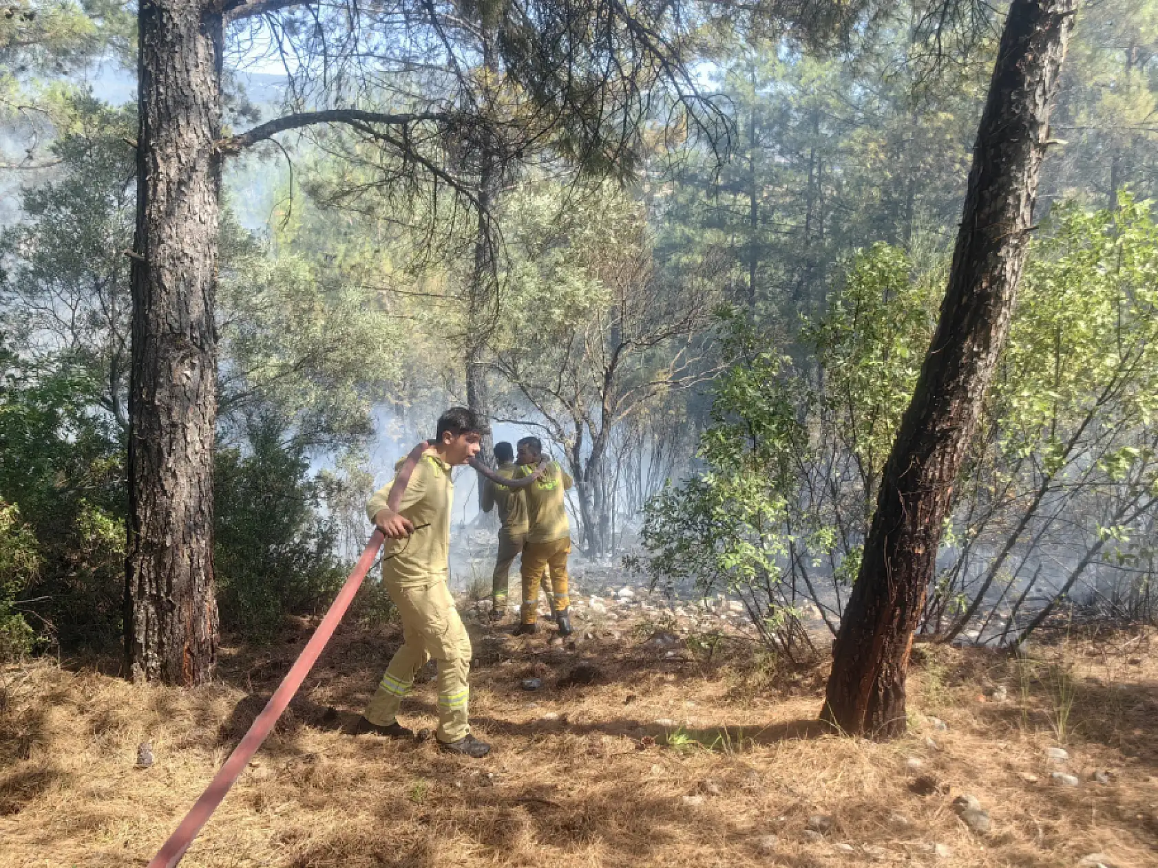 Muğla'daki orman yangını kontrol altına alındı