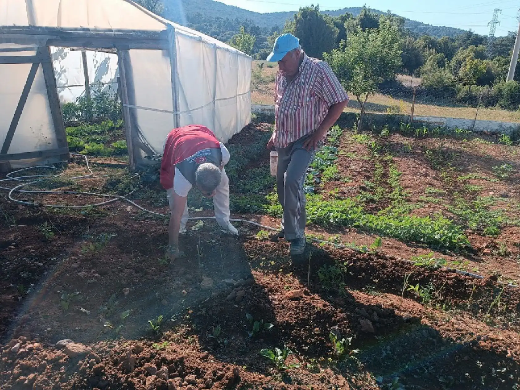 Menteşe'de tarım ekiplerinden ürün kontrolü ve çiftçi ziyareti gerçekleştirildi