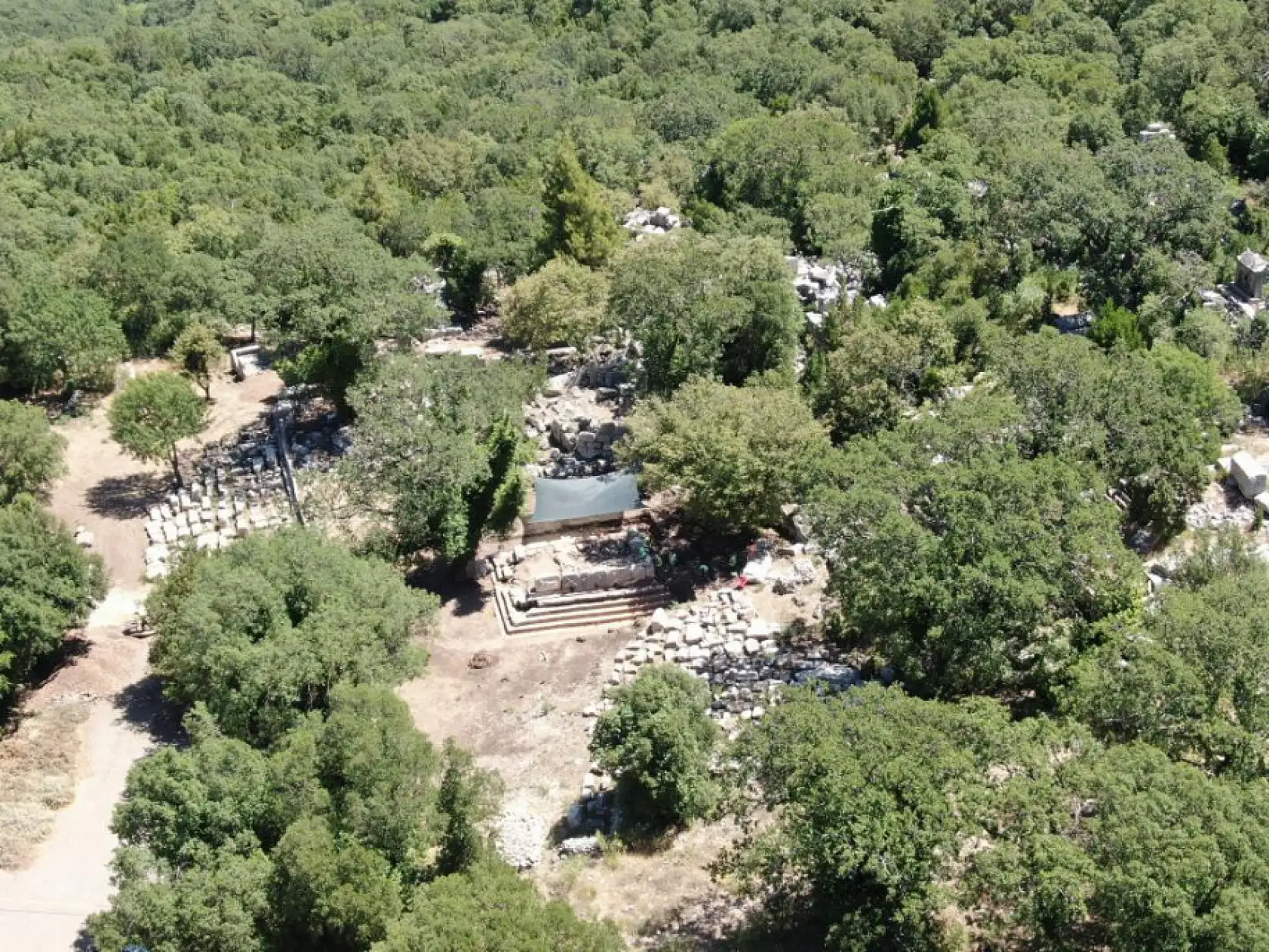 Meşe ağacı lahit parçasını havaya kaldırdı: Termessos'ta doğa tarihe sahip çıktı