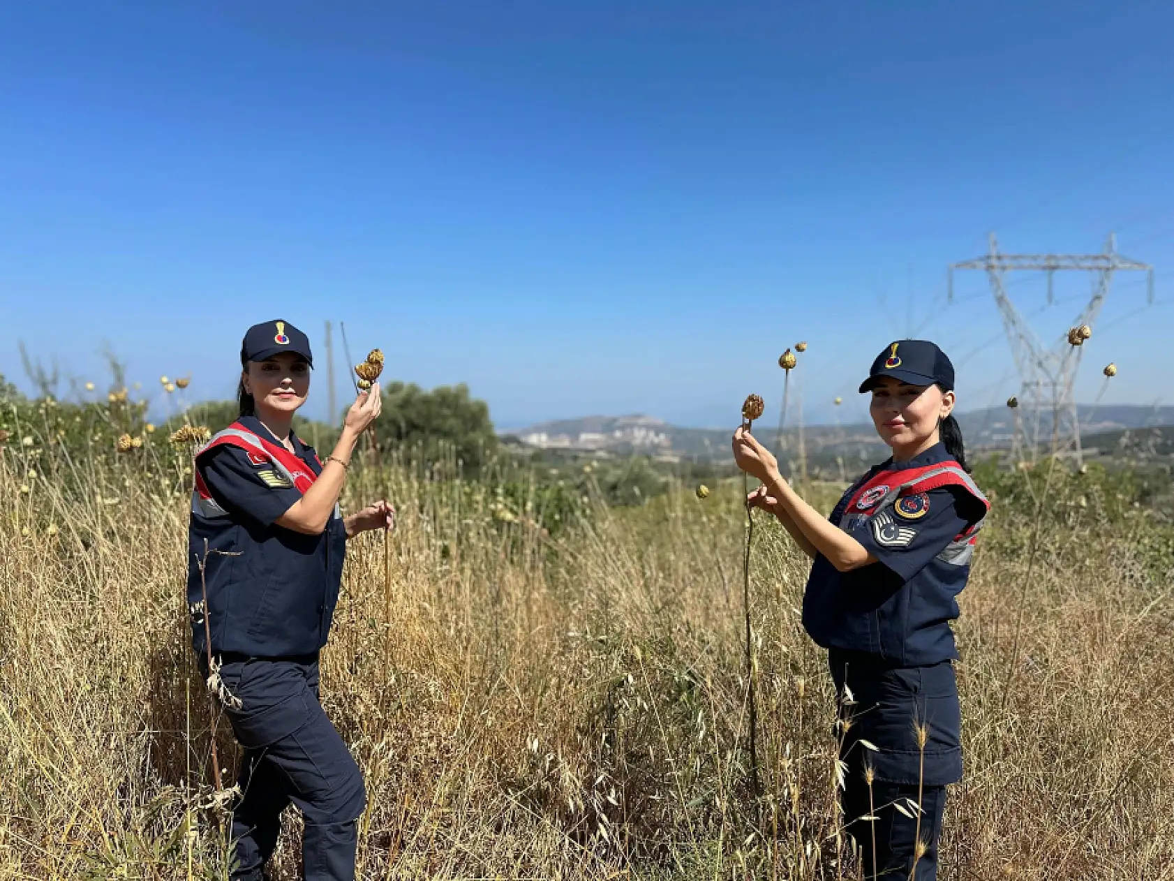 'Tülüşah' bitikisine zarar veren 557 bin lira ceza ödeyecek