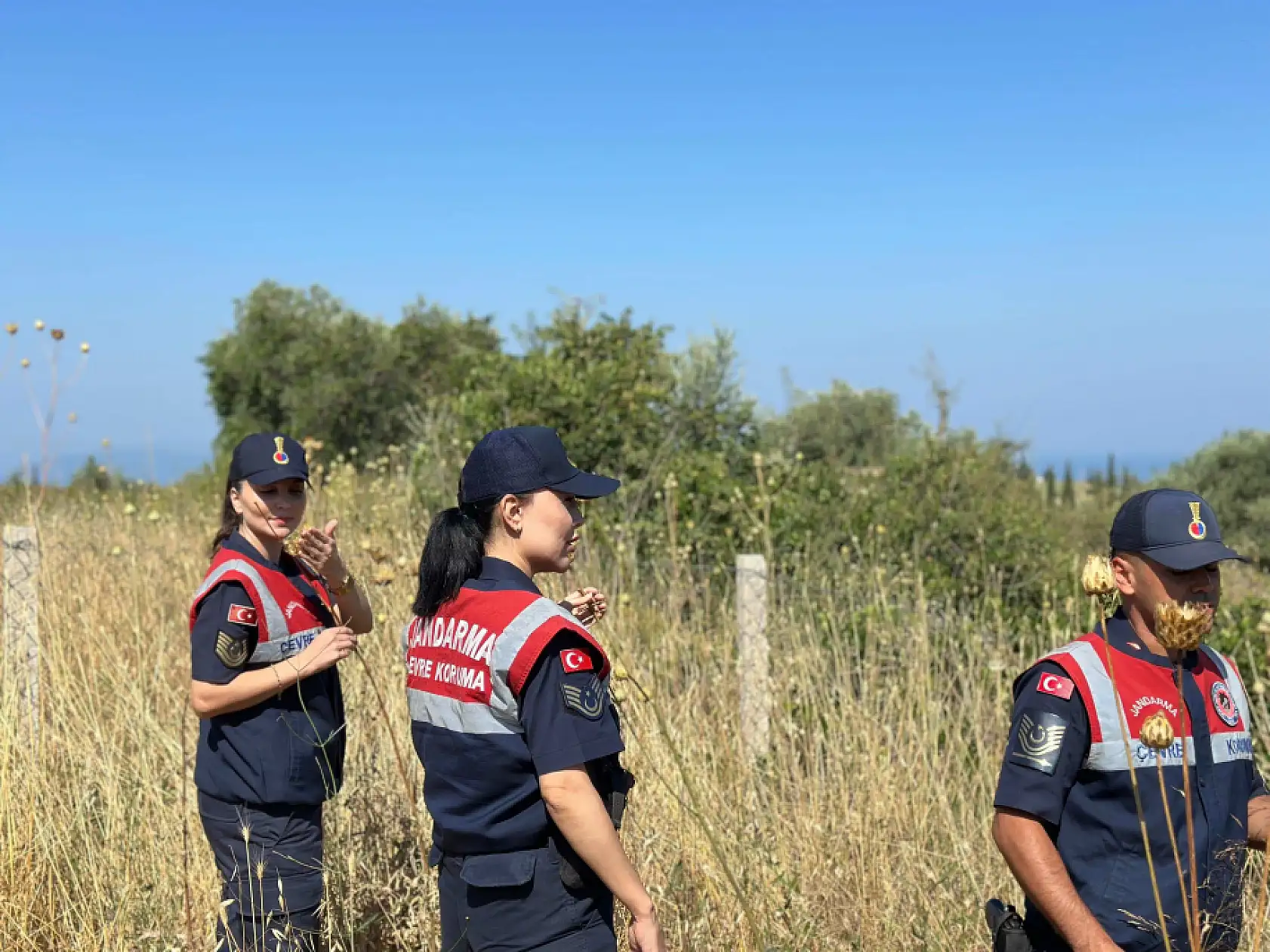 'Tülüşah' bitikisine zarar veren 557 bin lira ceza ödeyecek