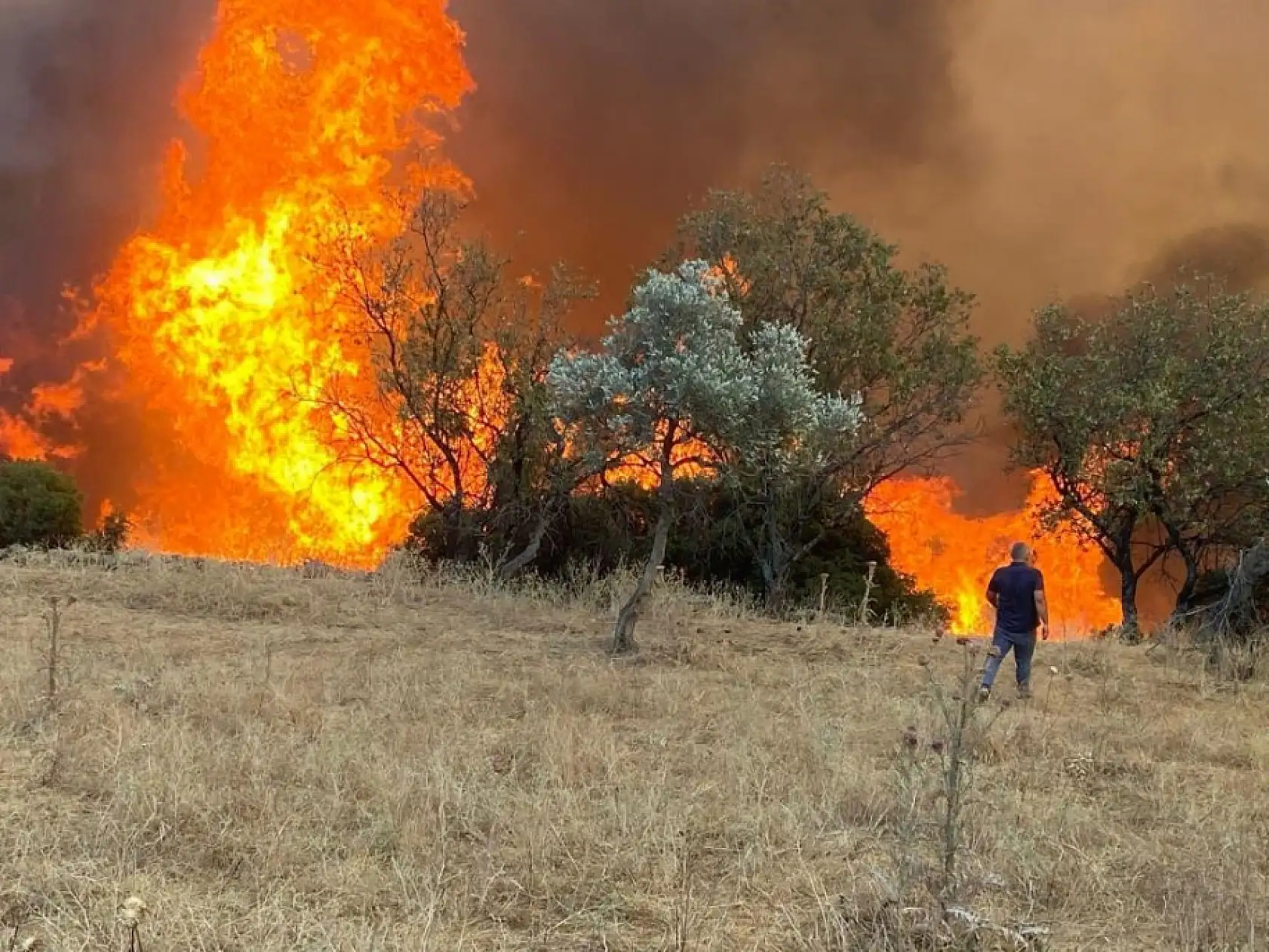 Ege'de Azalan Çobanlık Orman Yangınlarını Artırıyor