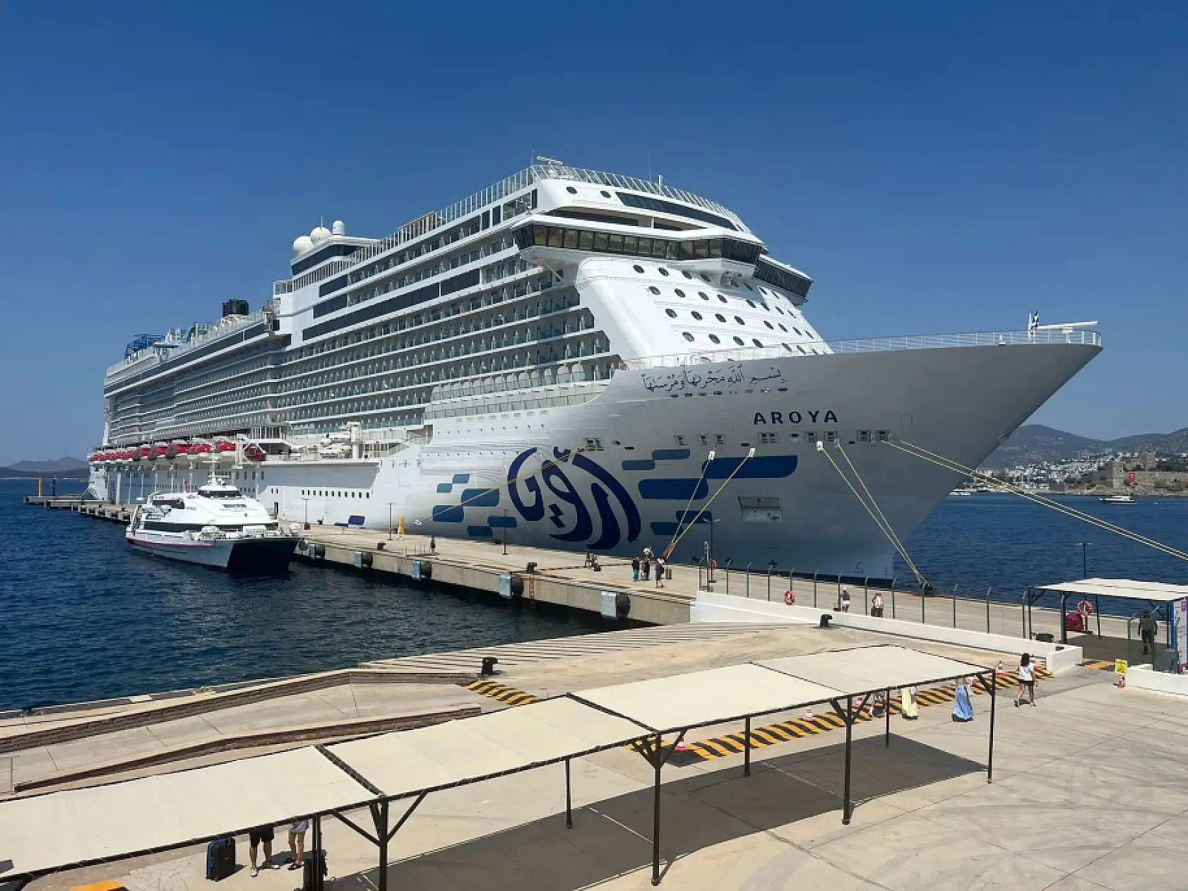 Aroya Bodrum'a 608 yolcu getirdi