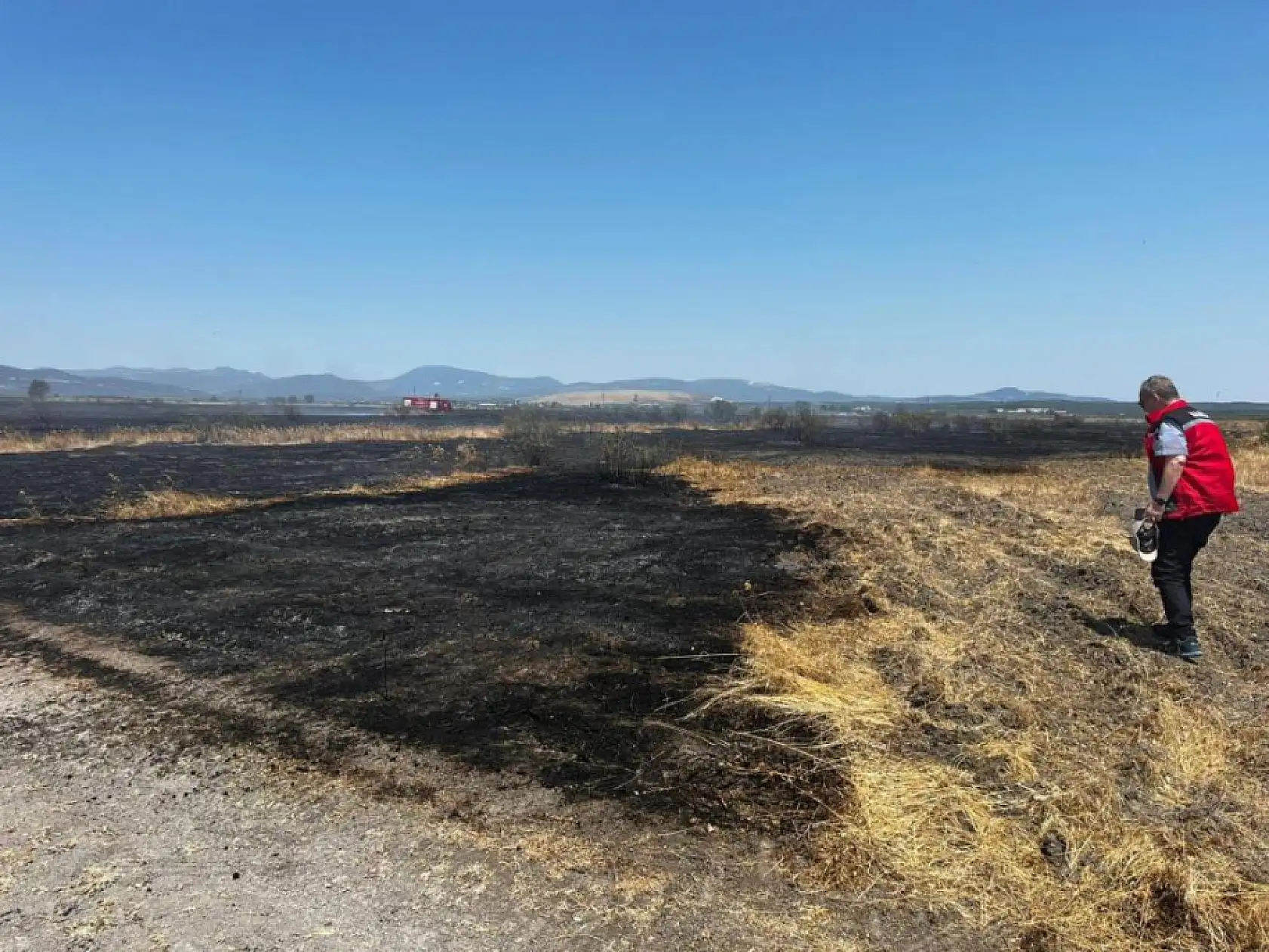Merada çıkan yangında 200 dekar alan etkilendi