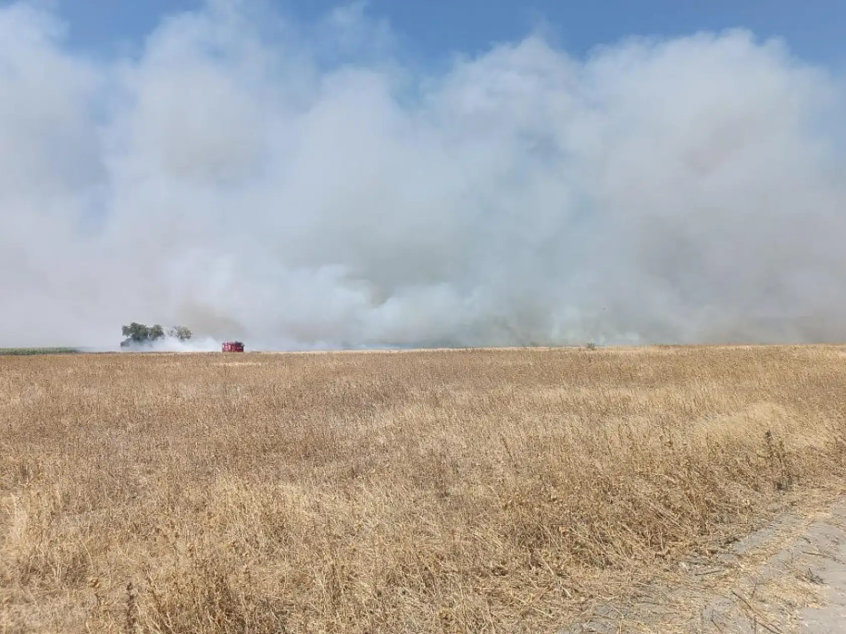 Merada çıkan yangında 200 dekar alan etkilendi