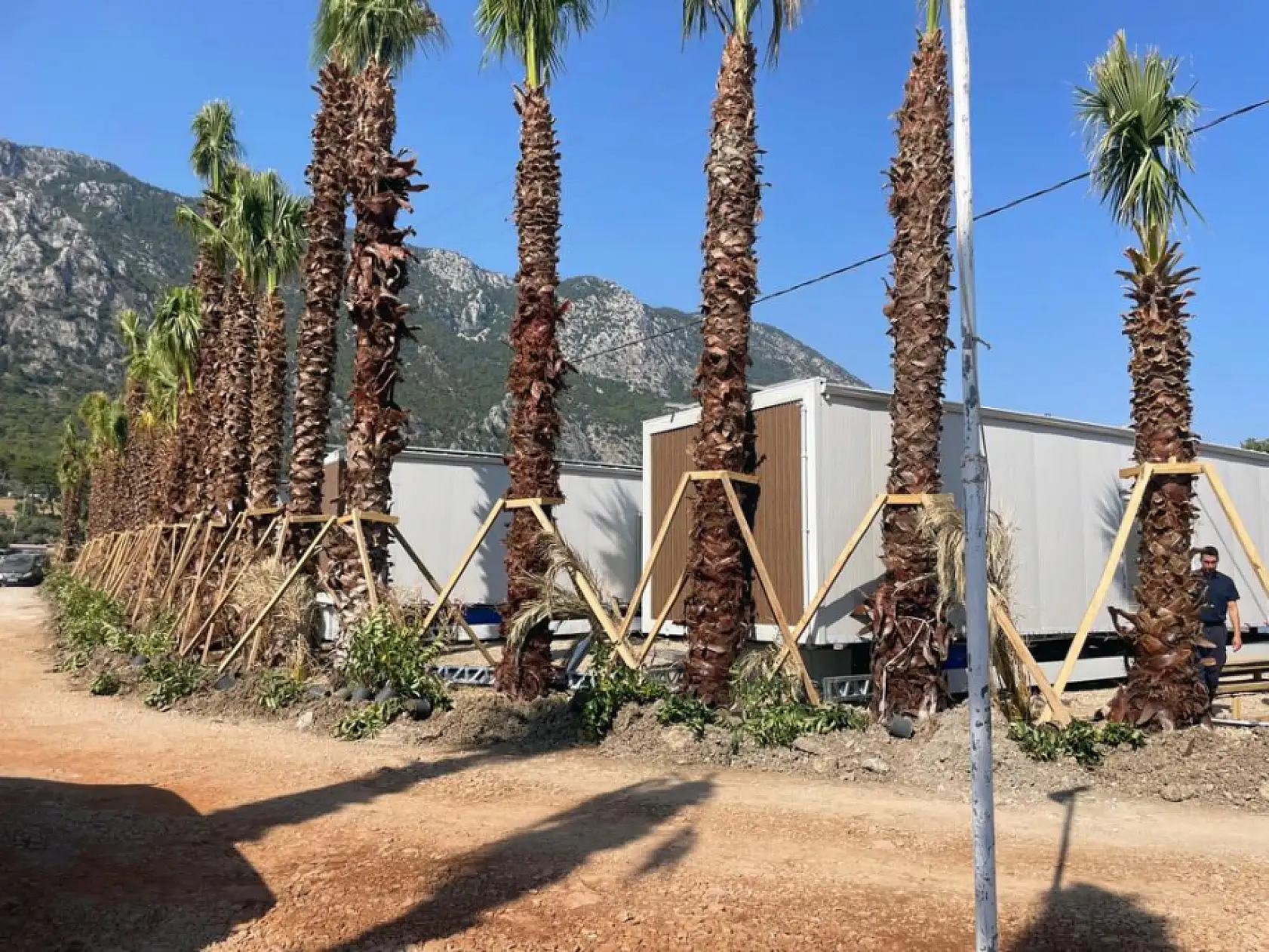 Menteşe Belediyesi Akbük'te 11 Tiny House'u mühürledi