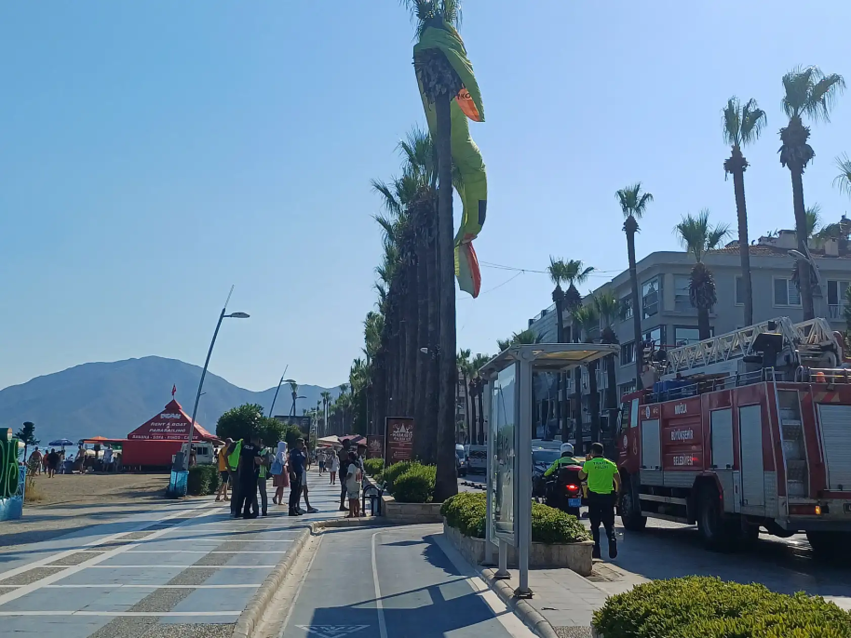 Marmaris'te deniz paraşütü palmiyeye takıldı