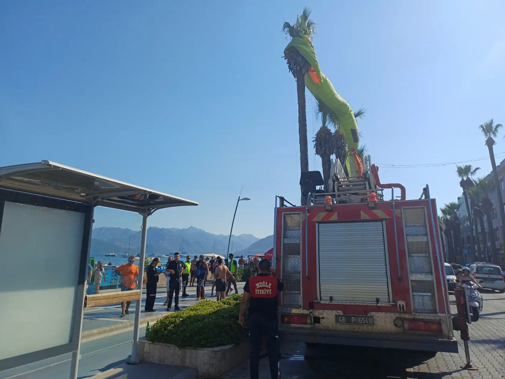 Marmaris'te deniz paraşütü palmiyeye takıldı