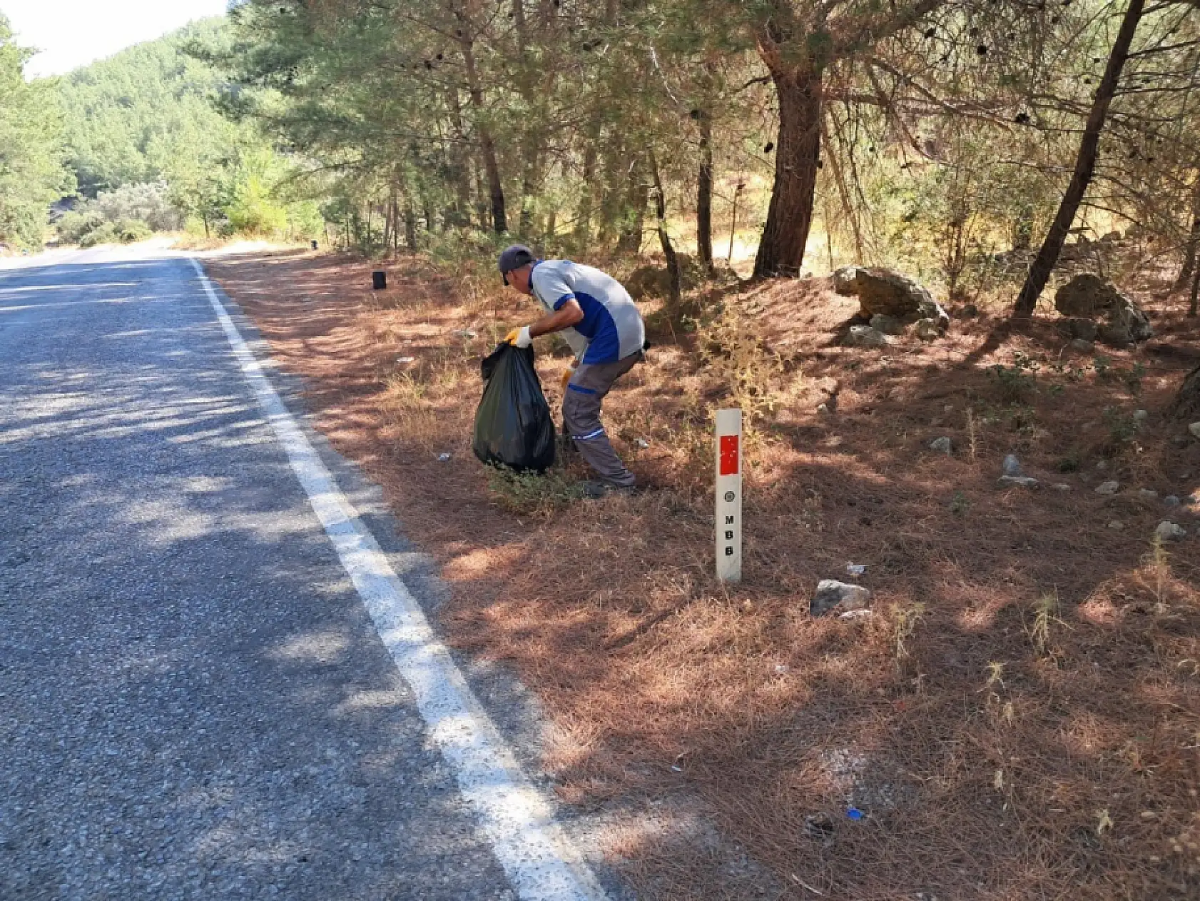 Bodrum'da yangına karşı mücadele sürüyor