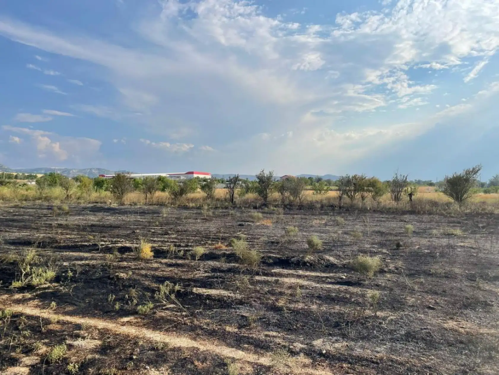 Arazi yangınında 50 dönüm alan zarar gördü