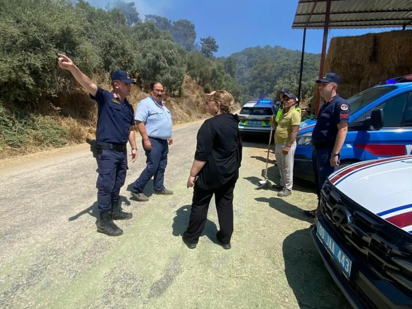 Aydın Germencik'teki orman yangını kontrol altına alındı