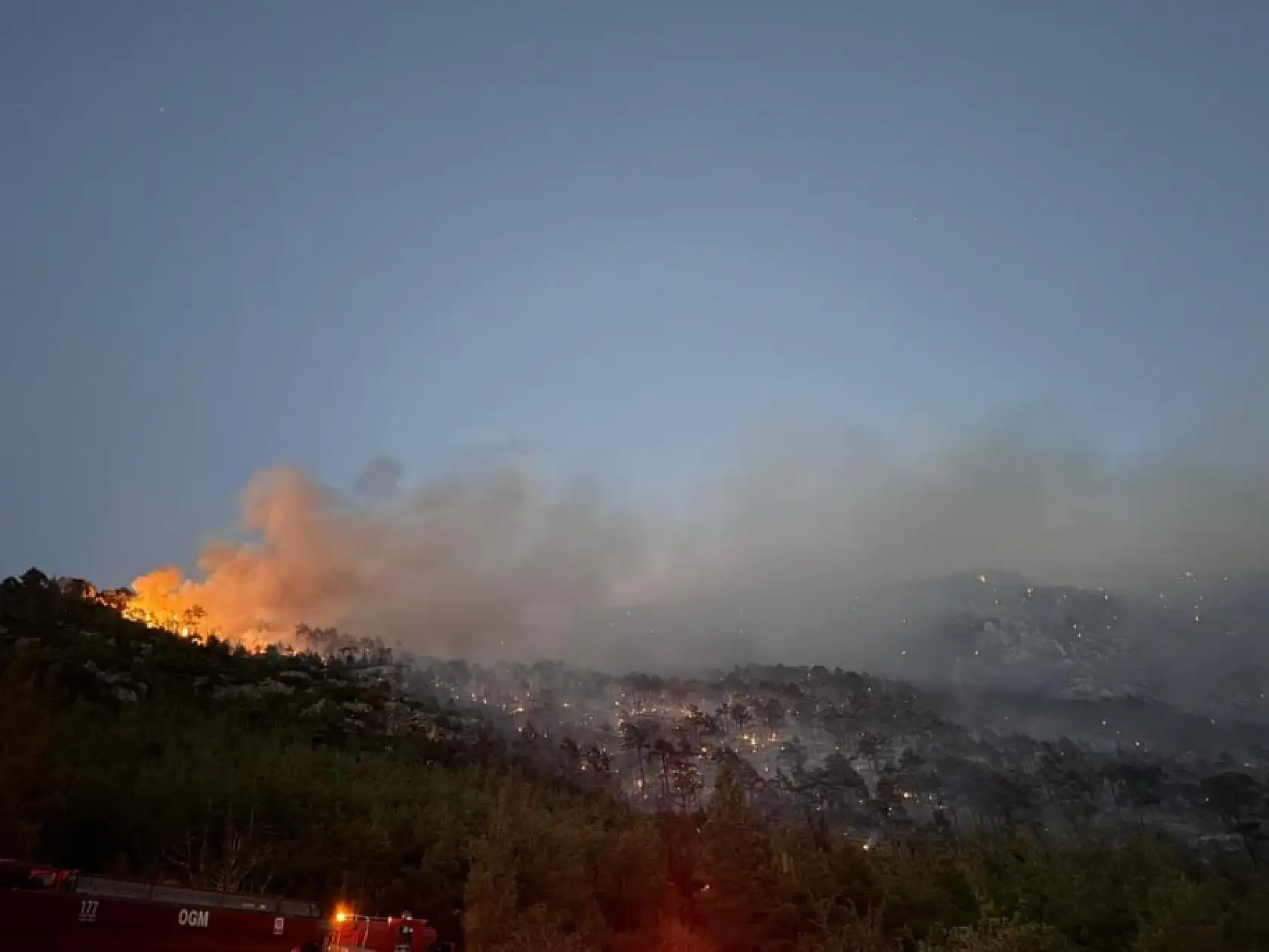 Denizli'deki orman yangını kontrol altına alındı