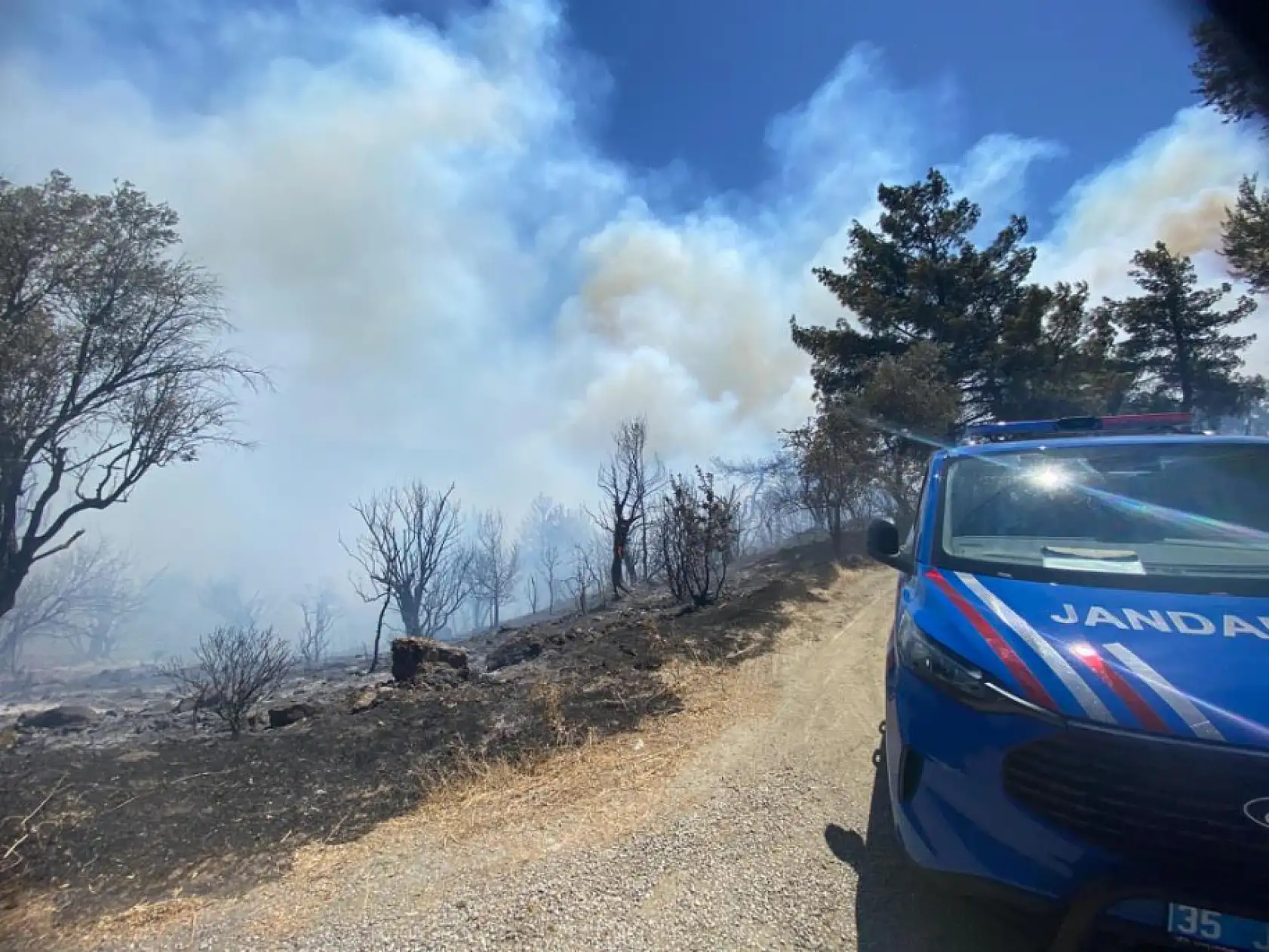 İzmir'de ormanlık alanda yangın çıktı: Havadan ve karadan müdahale başladı