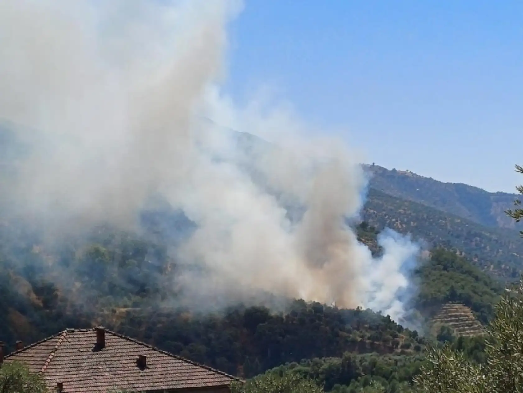 Aydın'da zirai alan yangını