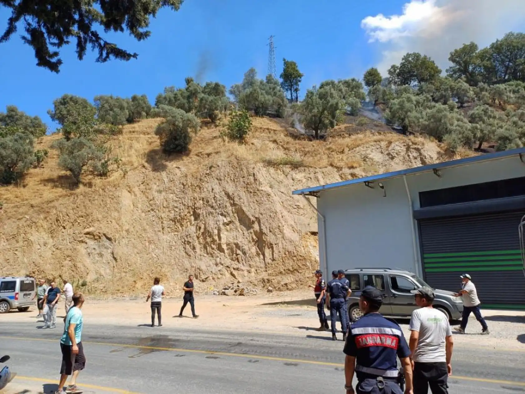 Aydın'da zirai alan yangını