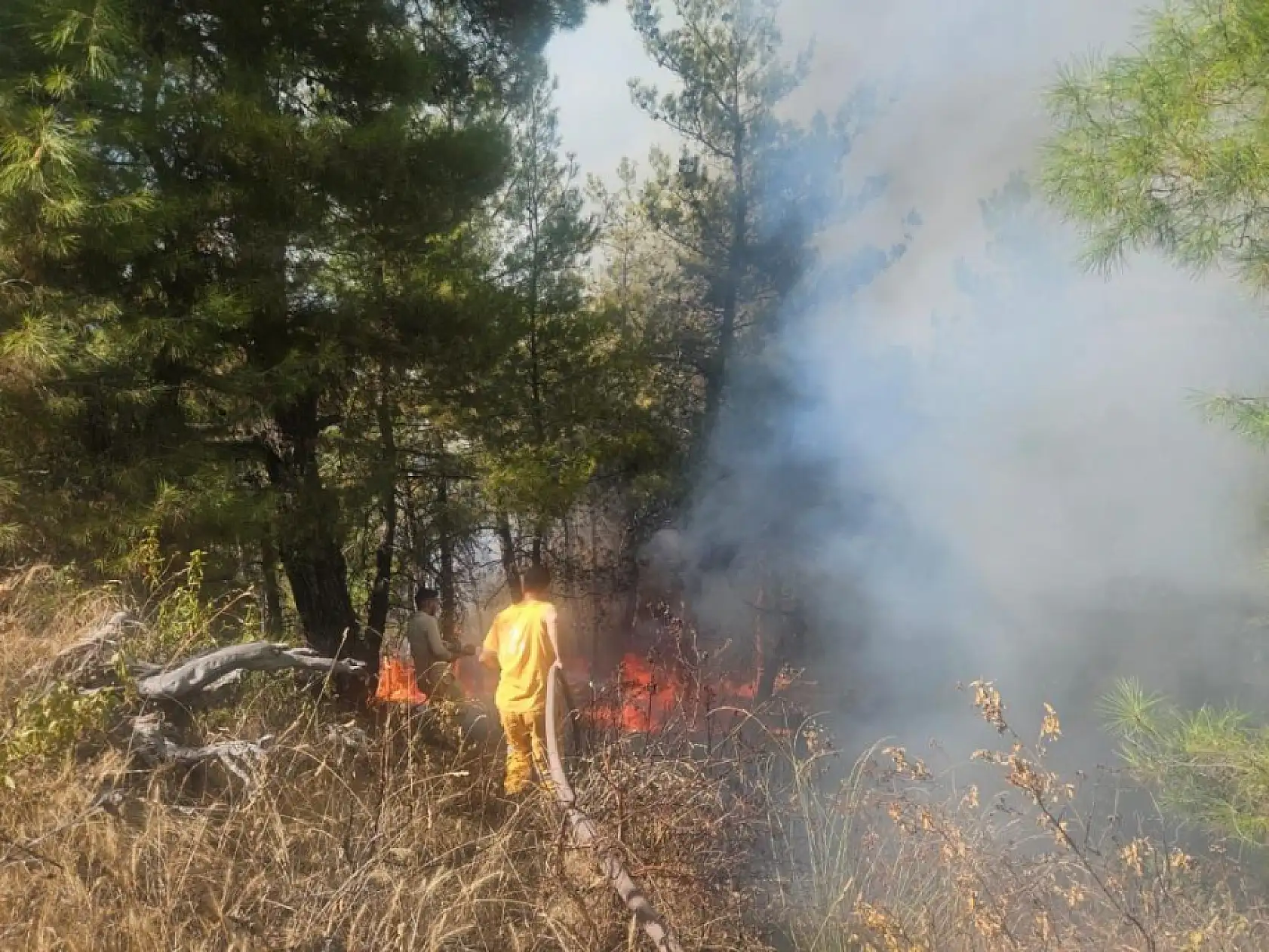 Denizli Buldan'da ormanlık alanda yangın çıktı