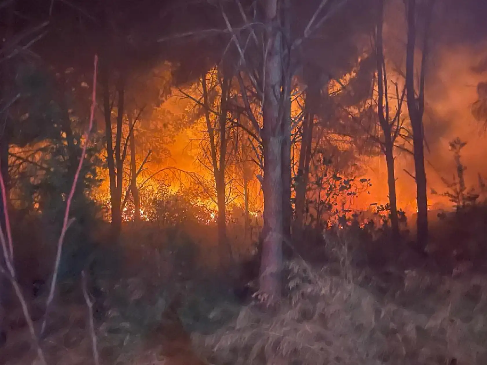 Antalya'da ormanlık alanda büyük yangın