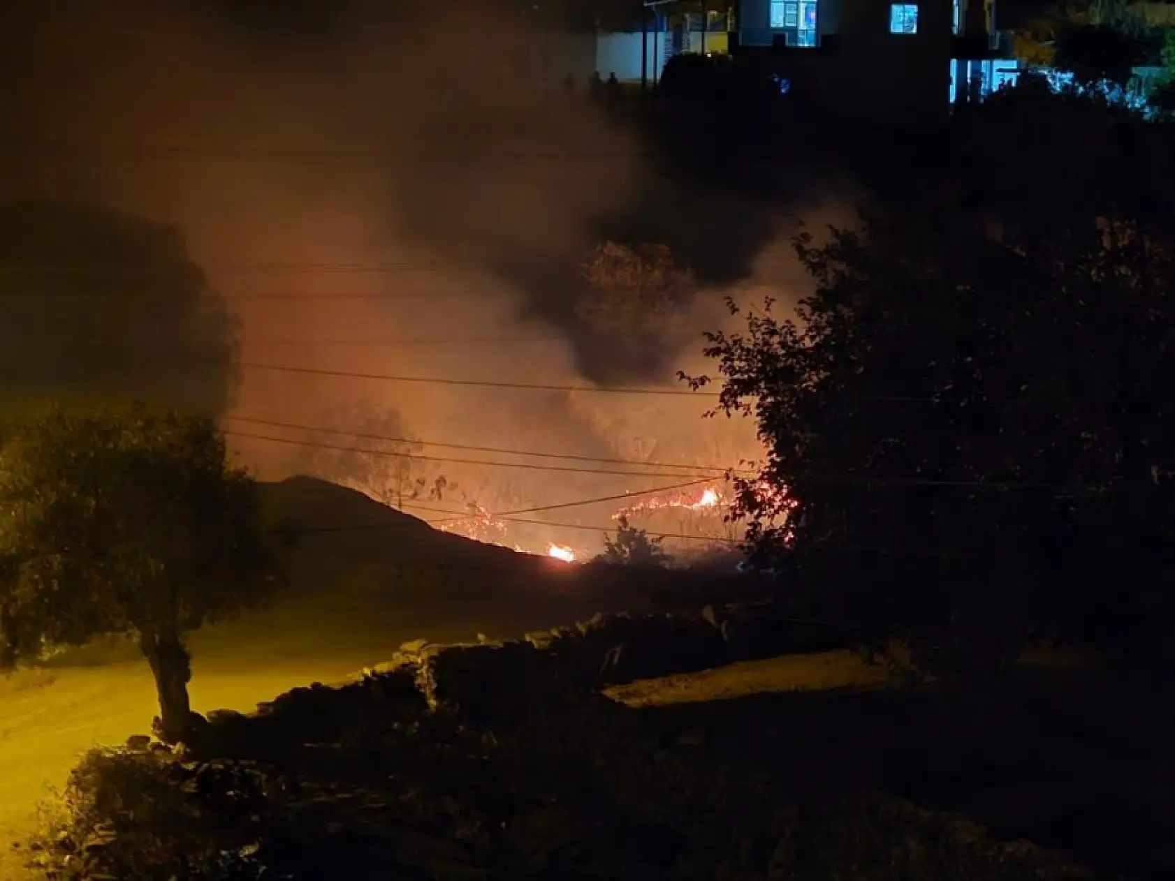 Milas'ta çıkan sazlık yangını hızlı müdahaleyle kontrol altına alındı