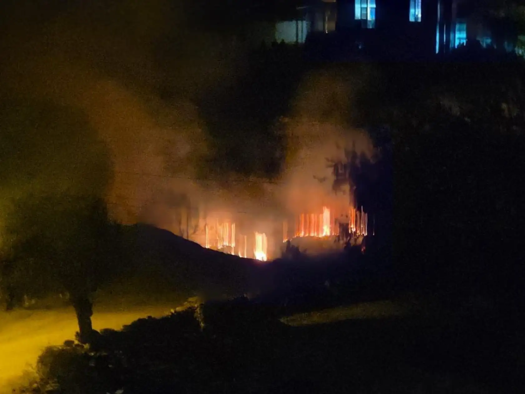 Milas'ta çıkan sazlık yangını hızlı müdahaleyle kontrol altına alındı