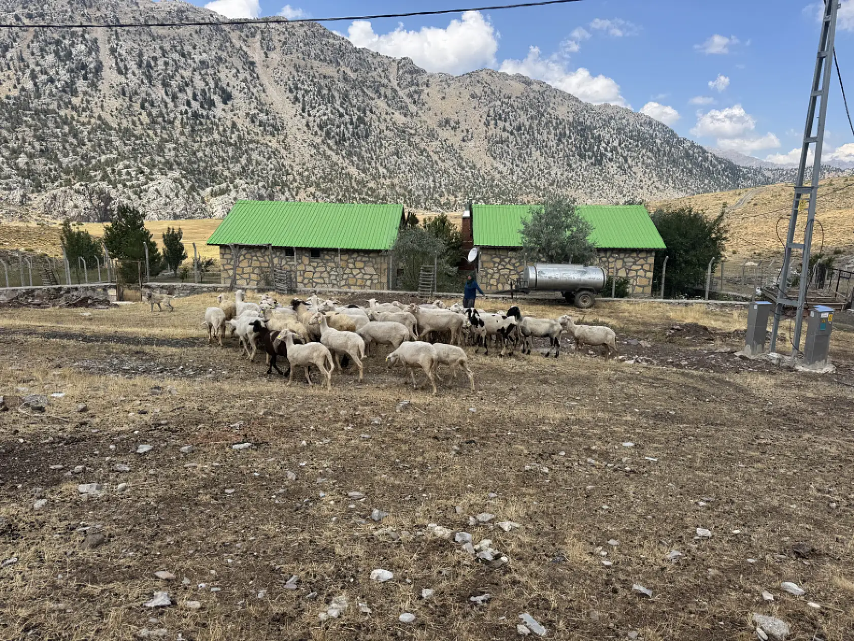 Yörüklerin 4 aydır kaldıkları yaylalardan dönüşleri başladı