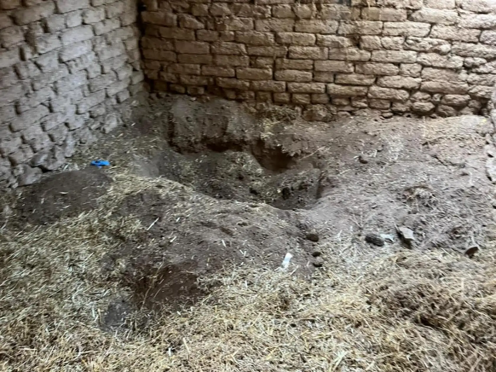 Kaybolduktan 14 yıl sonra kardeşinin ahırında cansız bedeni bulunmuştu: Arkadaşı anlattı