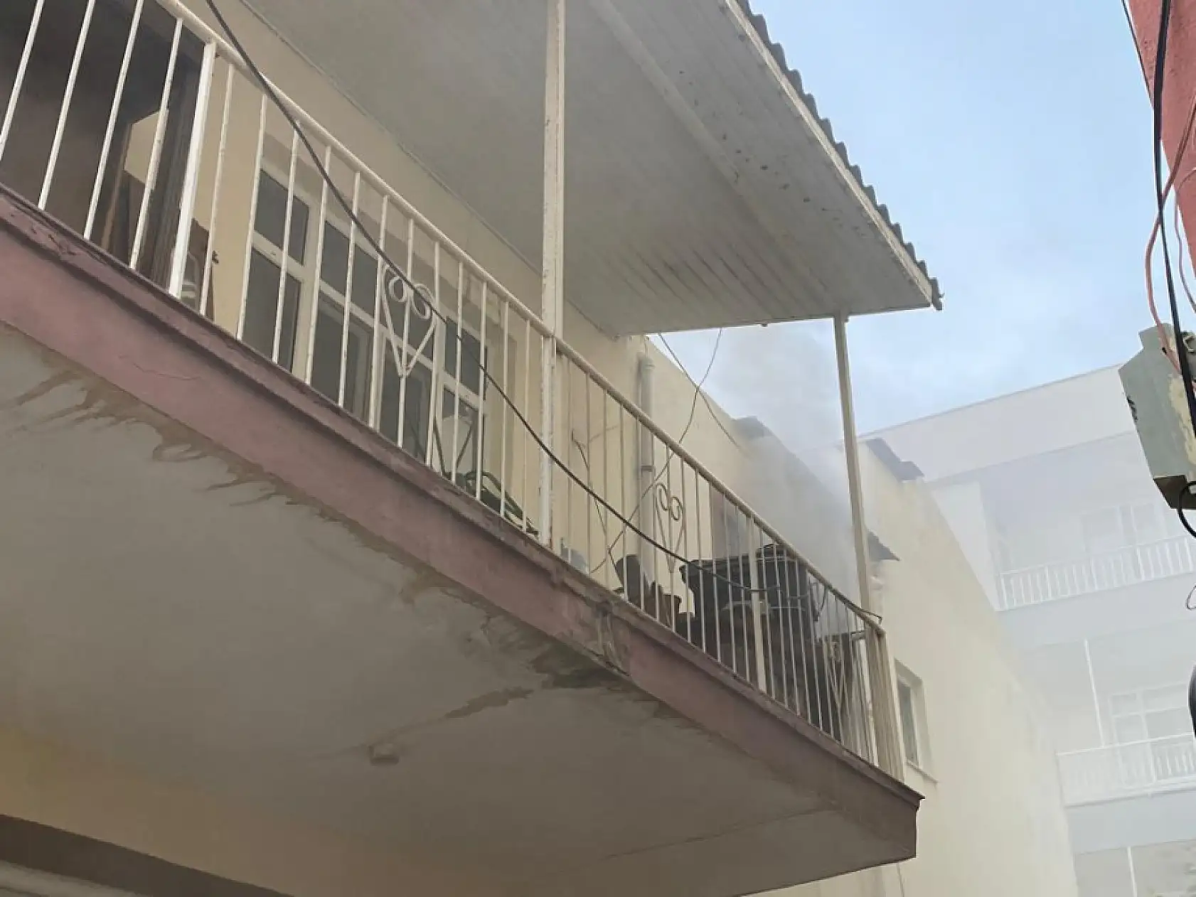 Yangında mucize kurtuluş! Muhabbet kuşu itfaiyenin kahramanlığıyla hayatta kaldı