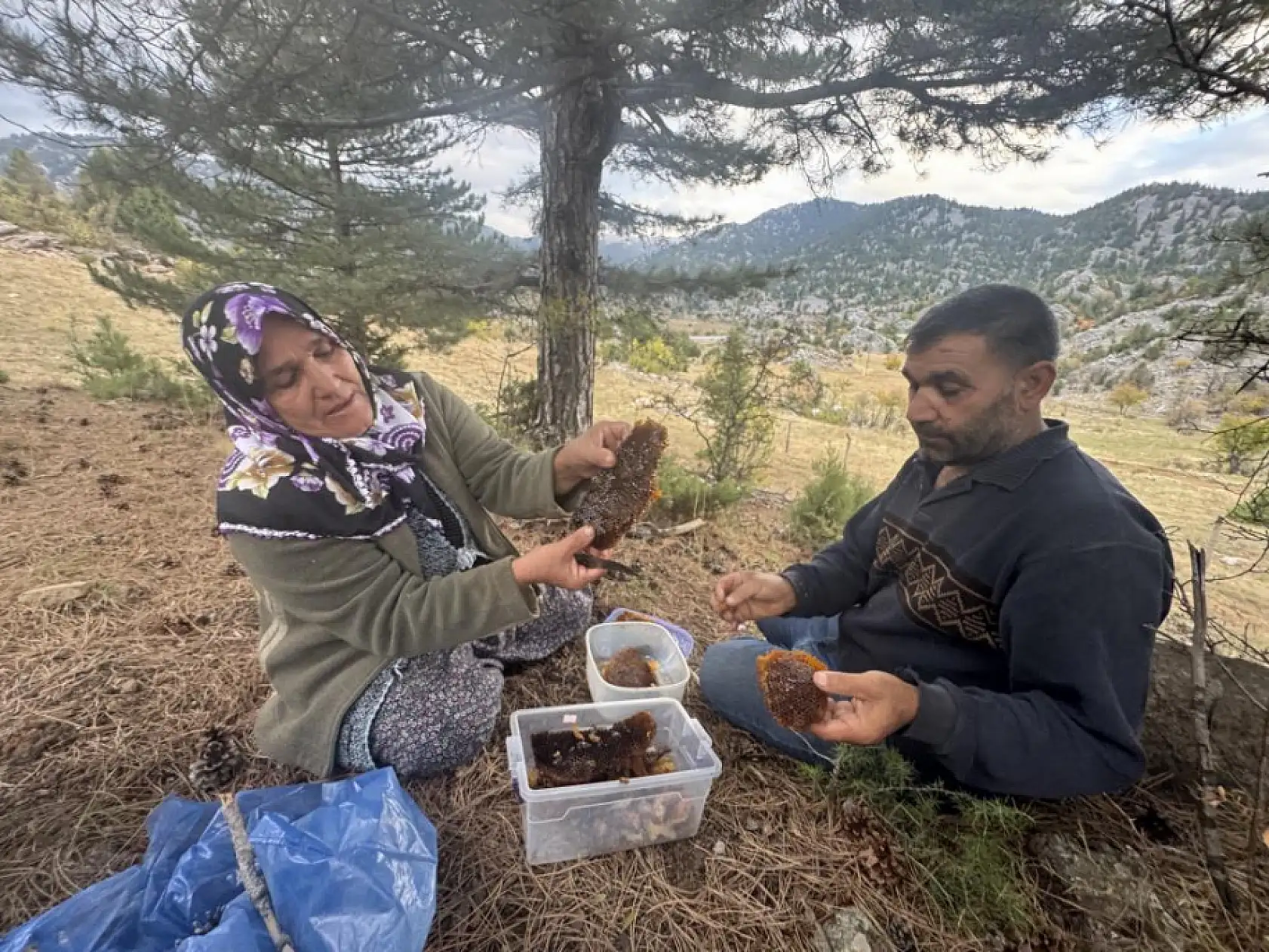 Kovanlarından kaçan firari arıların izini sürüp Toroslardaki doğal kovanları buluyorlar