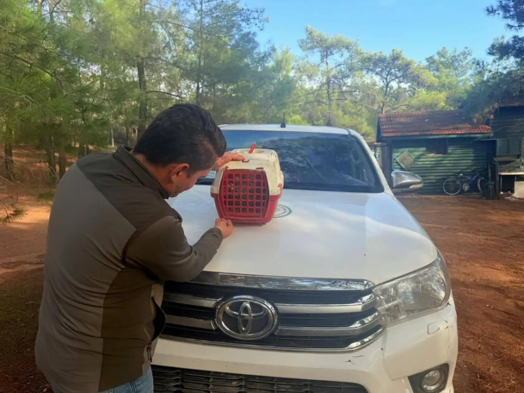 Datça'da Yasadışı Kınalı Keklik satışına 28 bin TL ceza