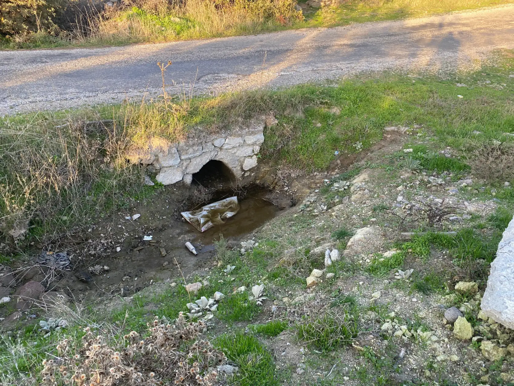 Boş arazide bebek cesedi bulundu