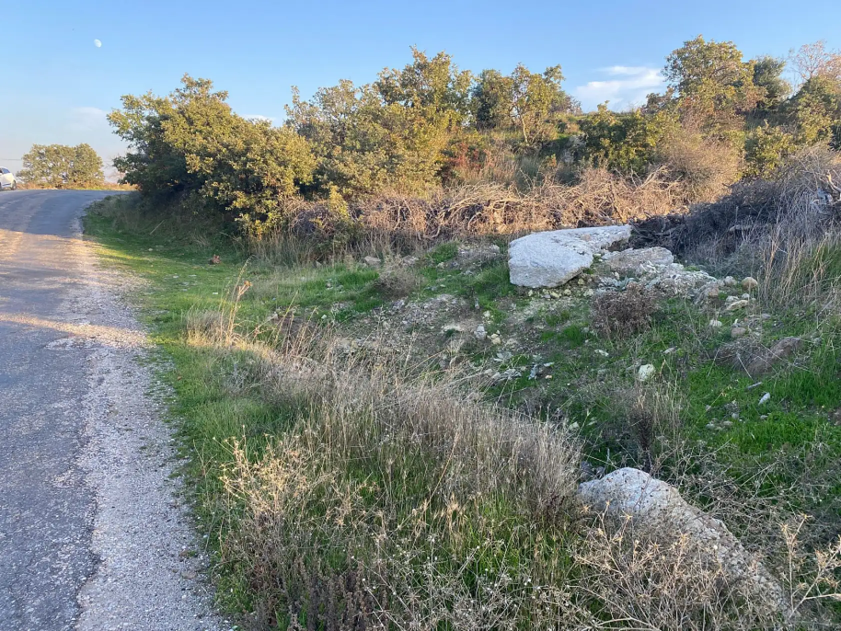 Boş arazide bebek cesedi bulundu