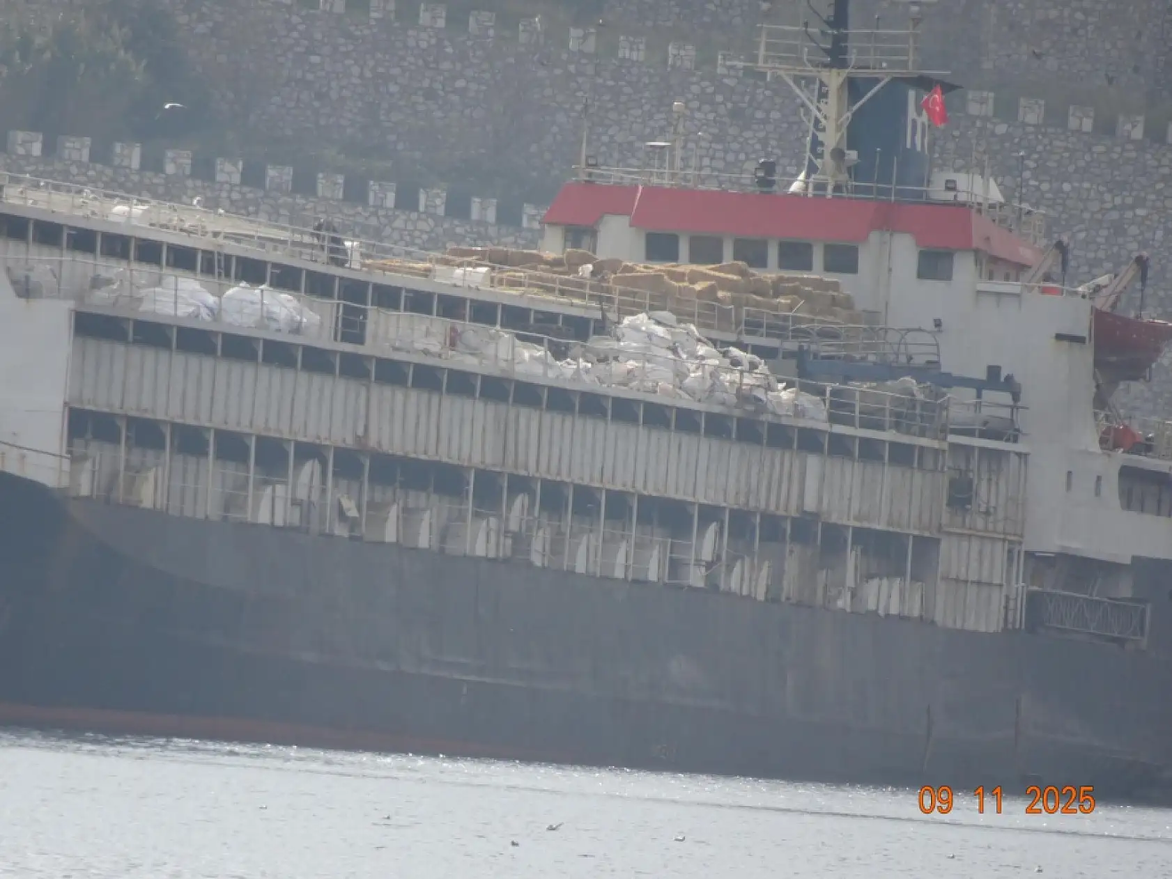 Susuzluktan boru yalayan inekler