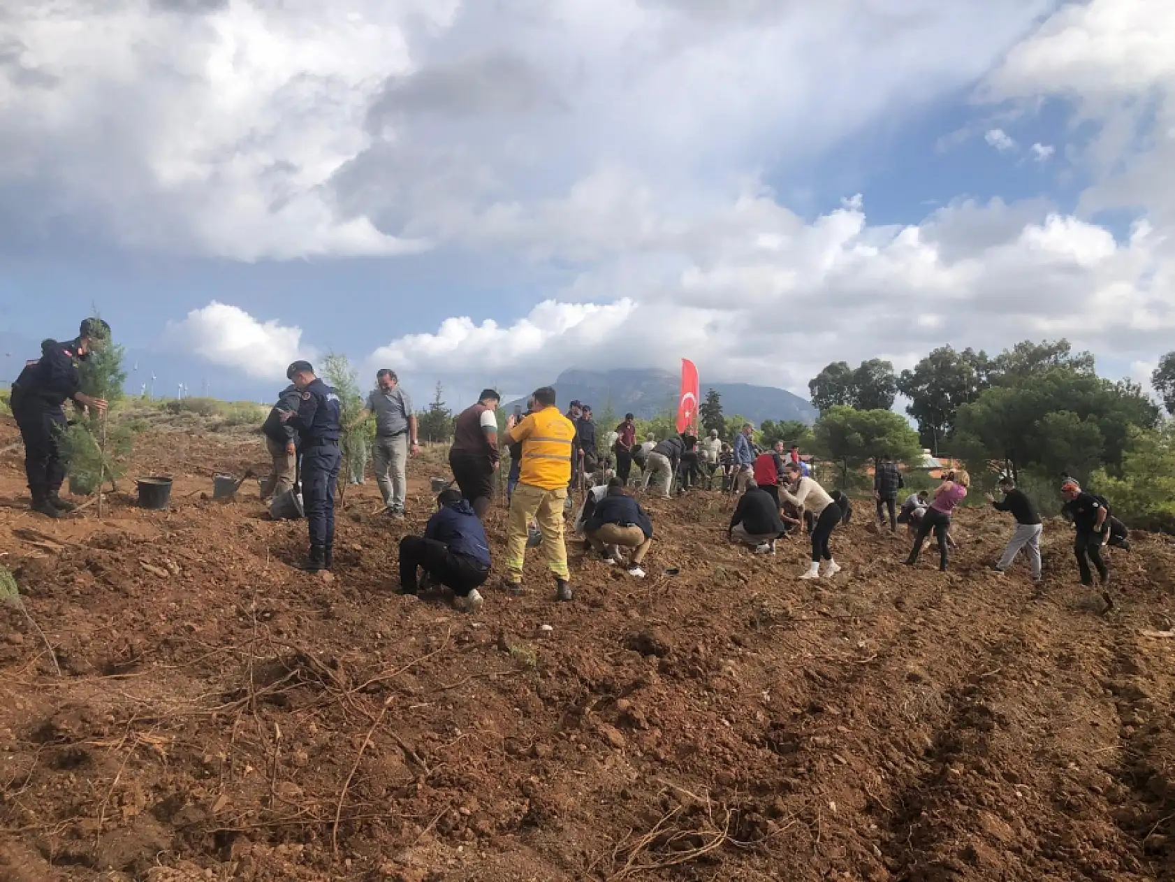 Datça'da fidanlar toprakla buluştu