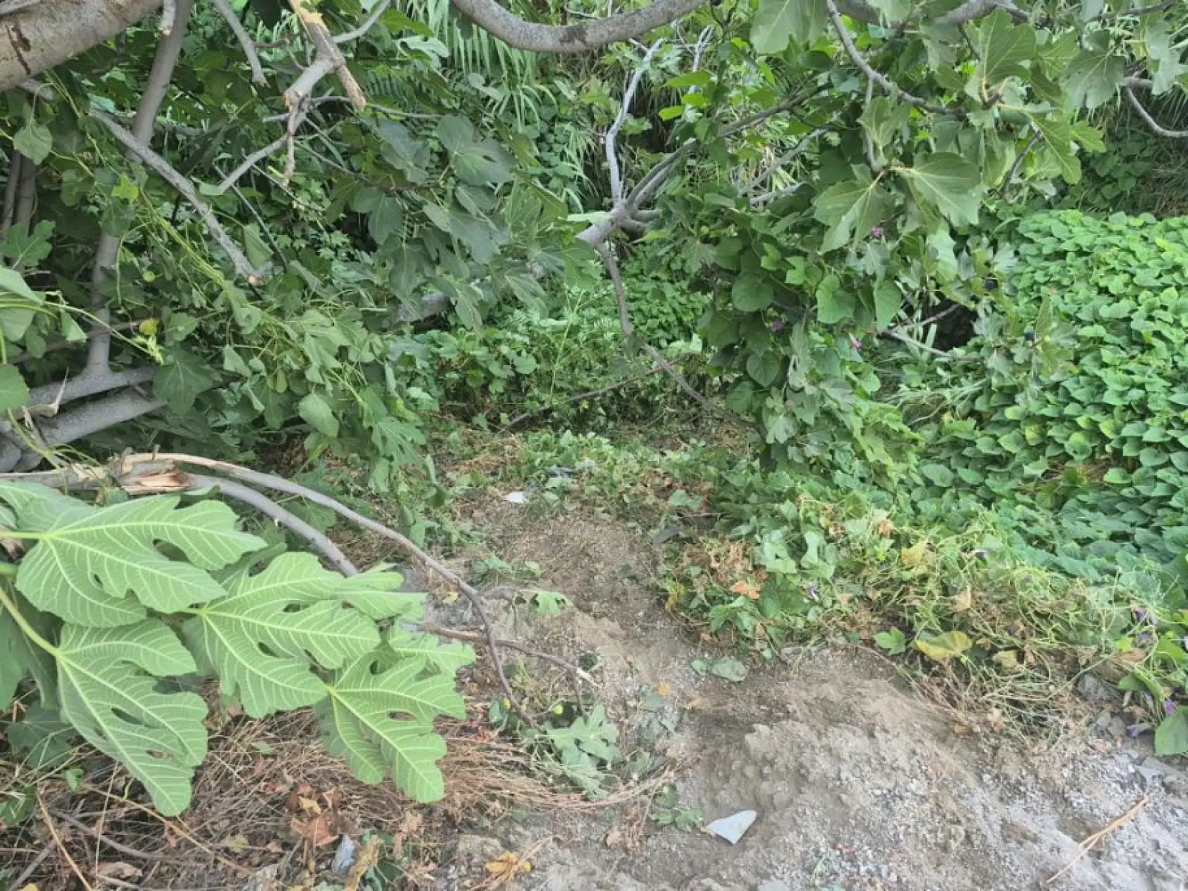 Fethiye'de kazada yaralanan genç, 123 günlük hayat mücadelesini kaybetti