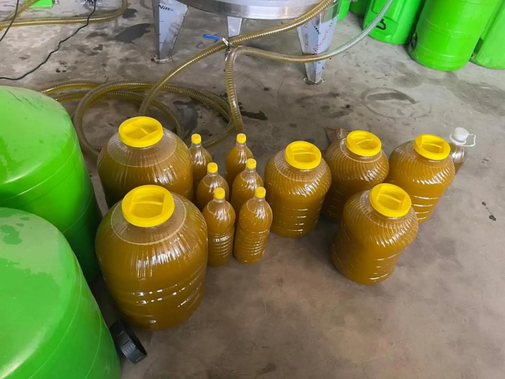 Kara meyve altın sıvıya dönüşüyor