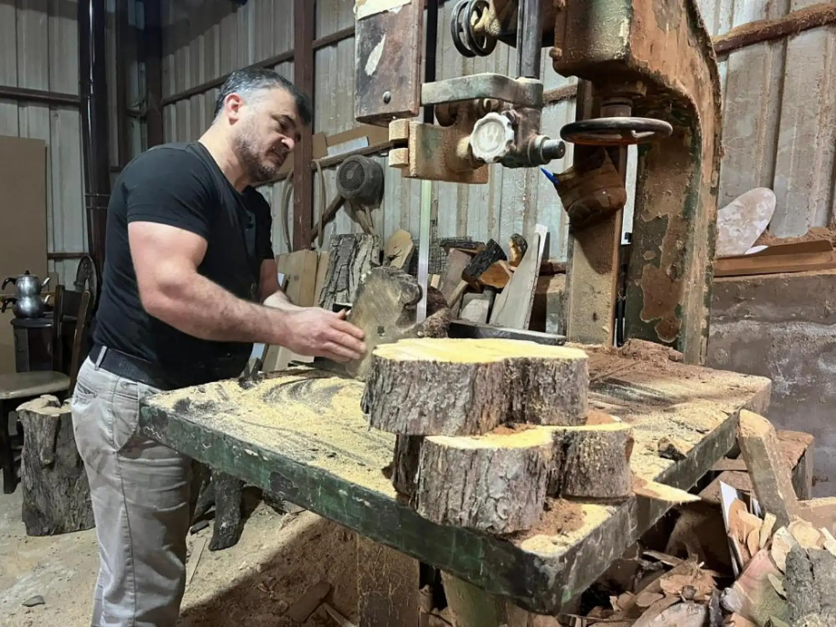 Çürümüş zeytin ağaçlarını sanat eserine dönüştürüyor