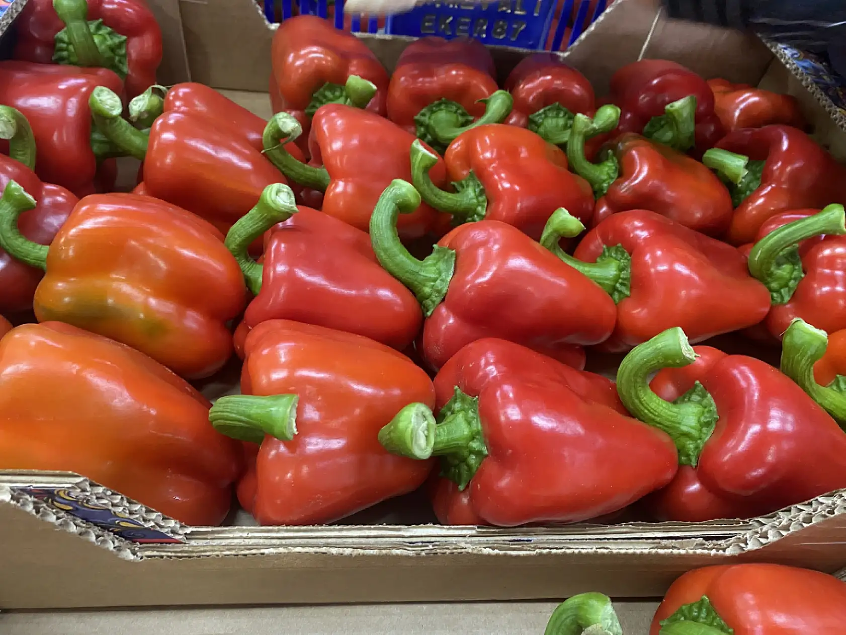 Aralık ayı hal endeksi açıklandı: 'Meyvede fiyat arttı, sebzede geriledi'