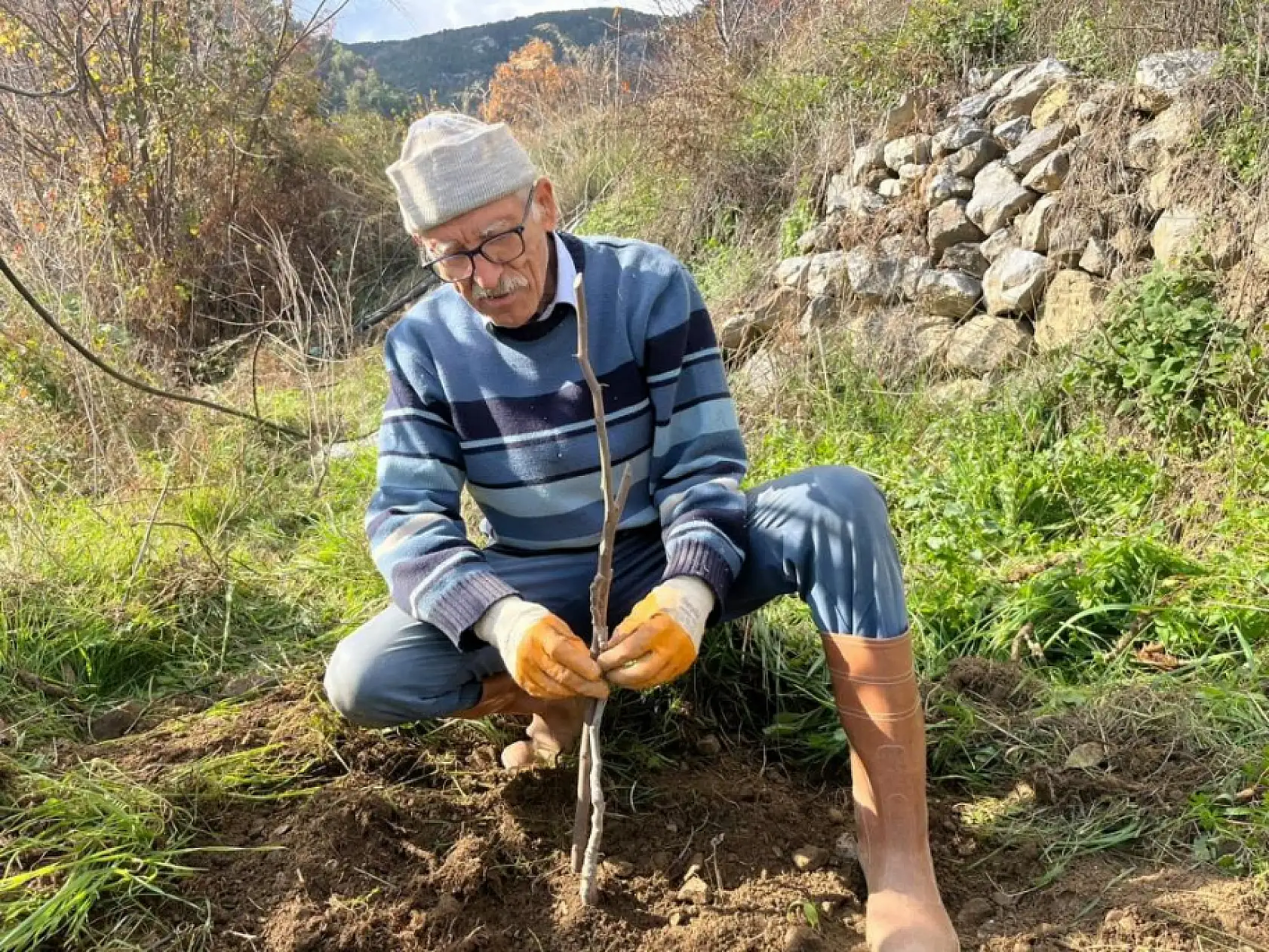 82 yaşındaki yeminli mali müşavirden köy hayatına örnek proje