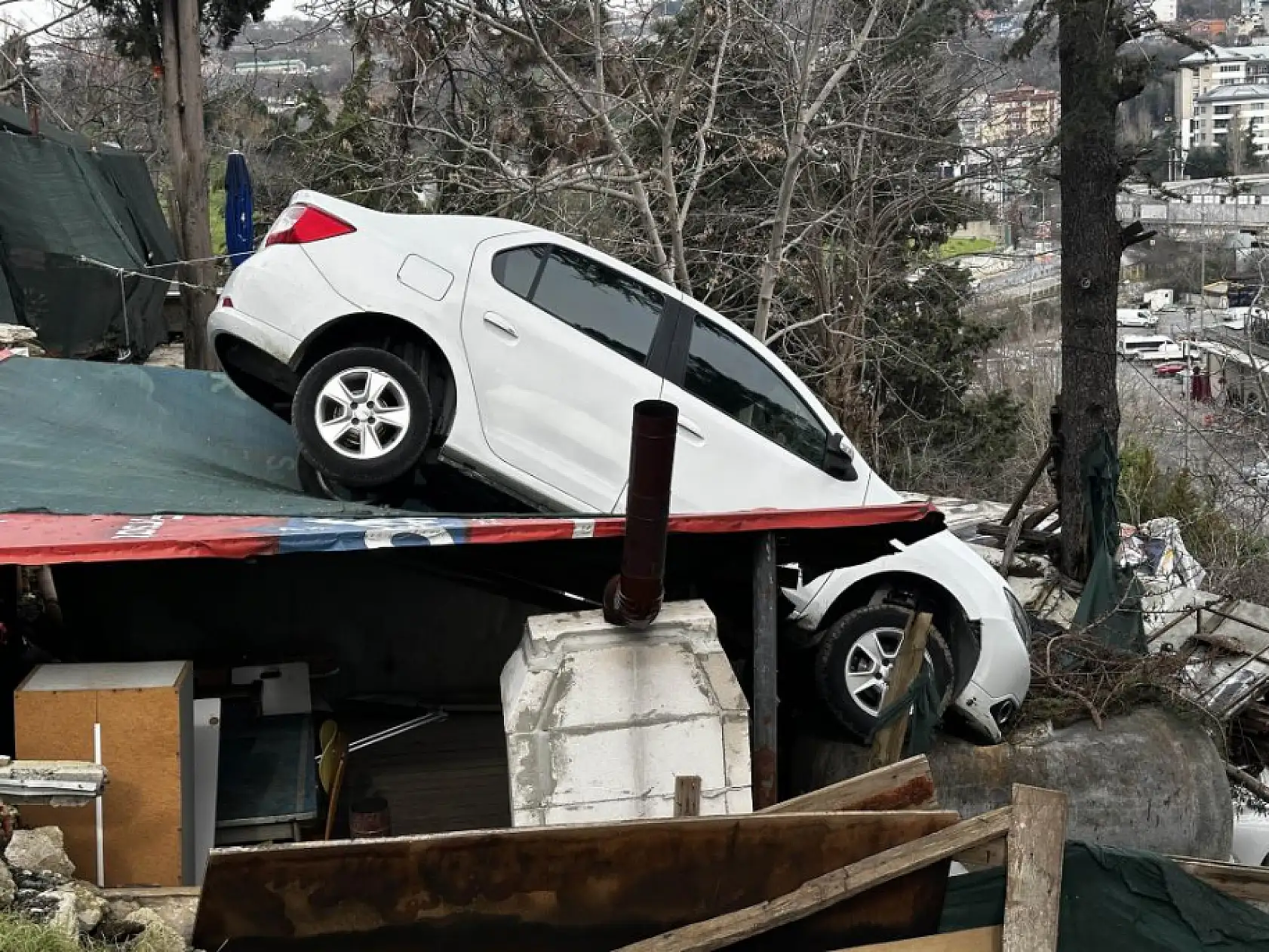 Vitesi karıştırdı, otomobil kamelyanın üzerine uçtu