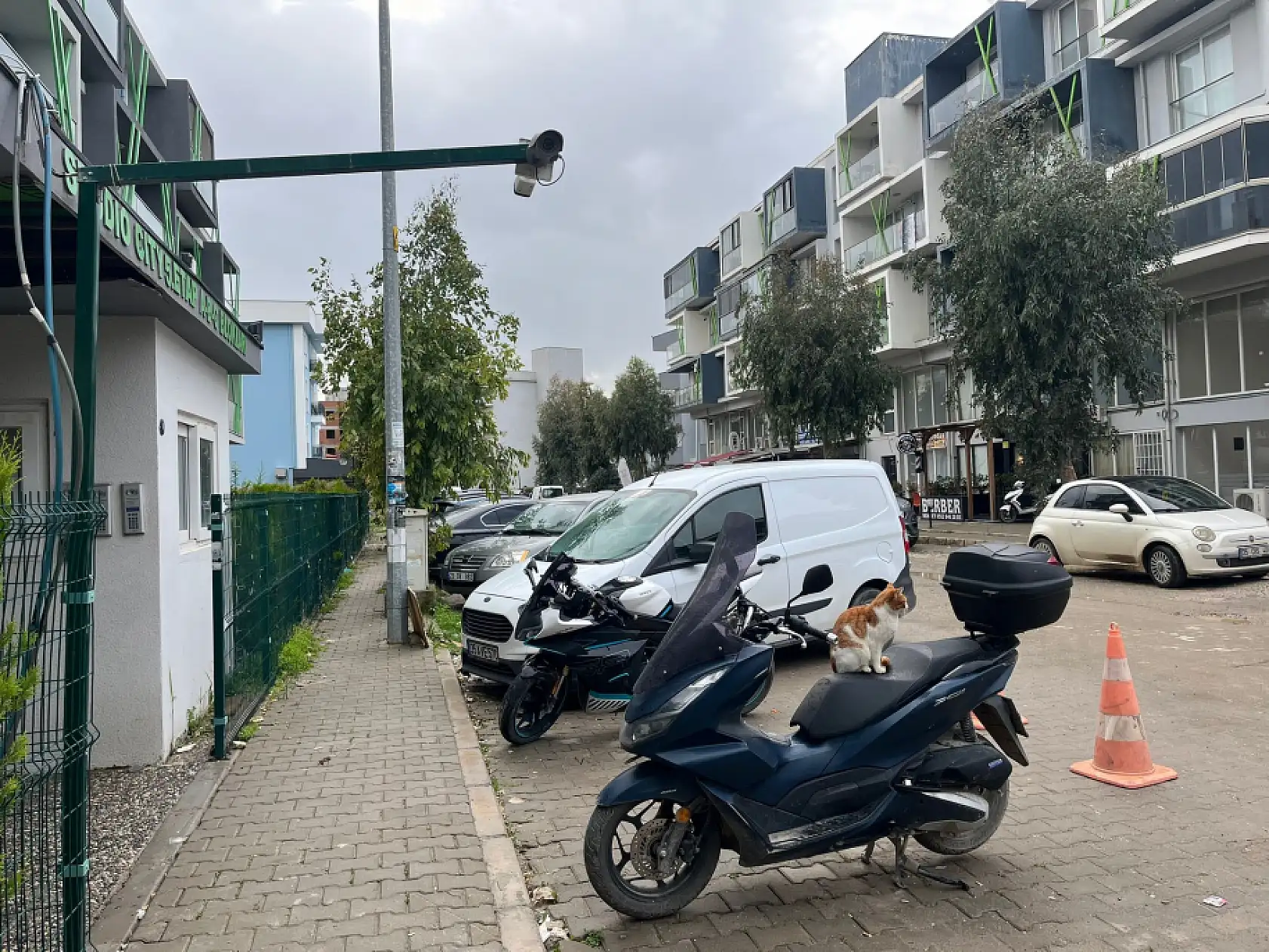 Korkunç cinayetin görgü tanığı konuştu: 'Silah sesine koştuk, kanlar içinde bulduk'