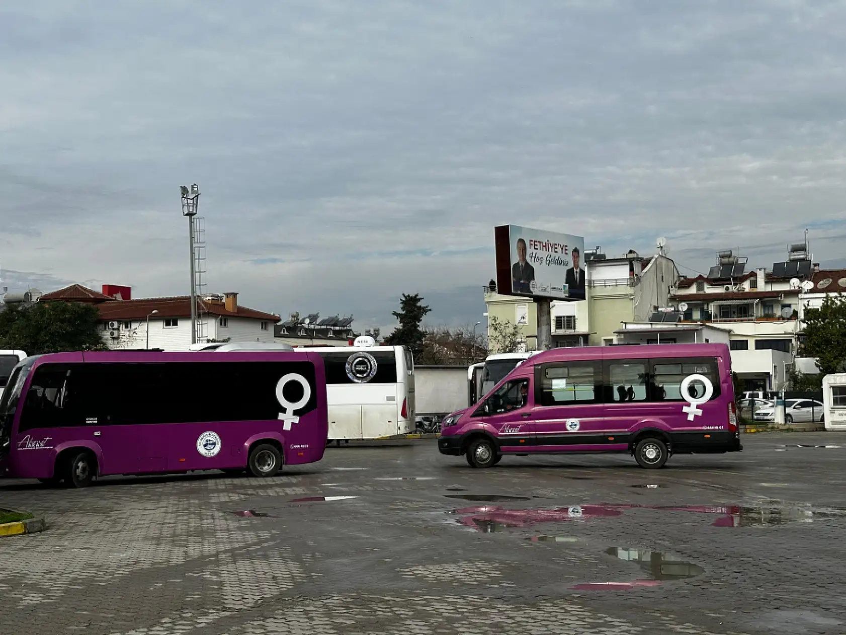 Fethiye'de Mor Otobüsler Hizmete Başladı